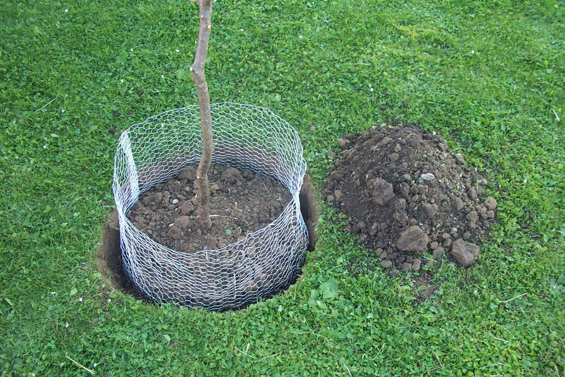 Mäusegitter Kerbl Wühlmauskorb ø 35 cm Hähe 40 cm Schutzkorb gegen Wurzelverbiss
