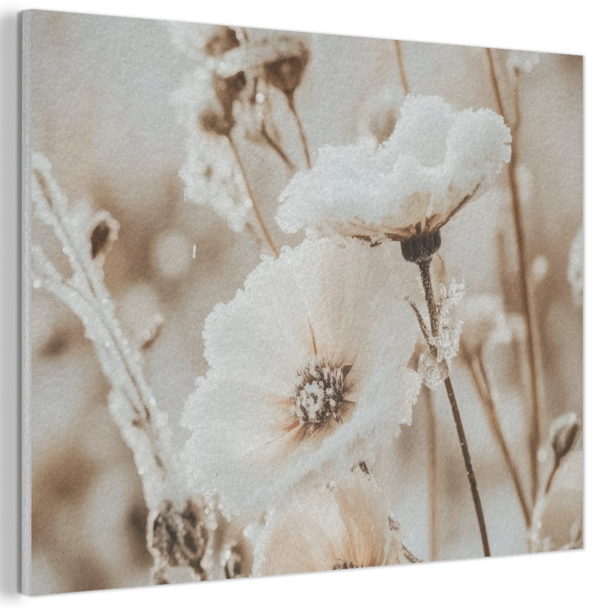 Blumen - Beige