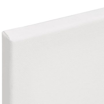 vidaXL Tafel Spannleinwände 12 Stk Weiß Stoff und Massivholz Kiefer Malen Rahmen