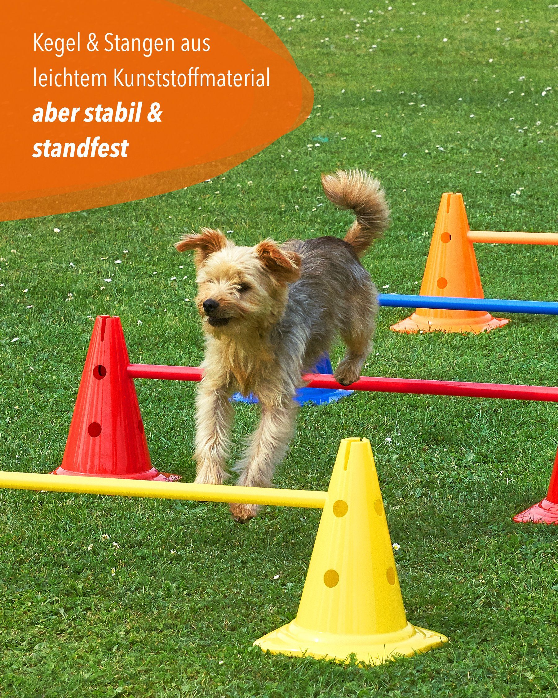 Superhund Hürde Kegelhürde 30 mit Stange 100 cm Farbe Orange