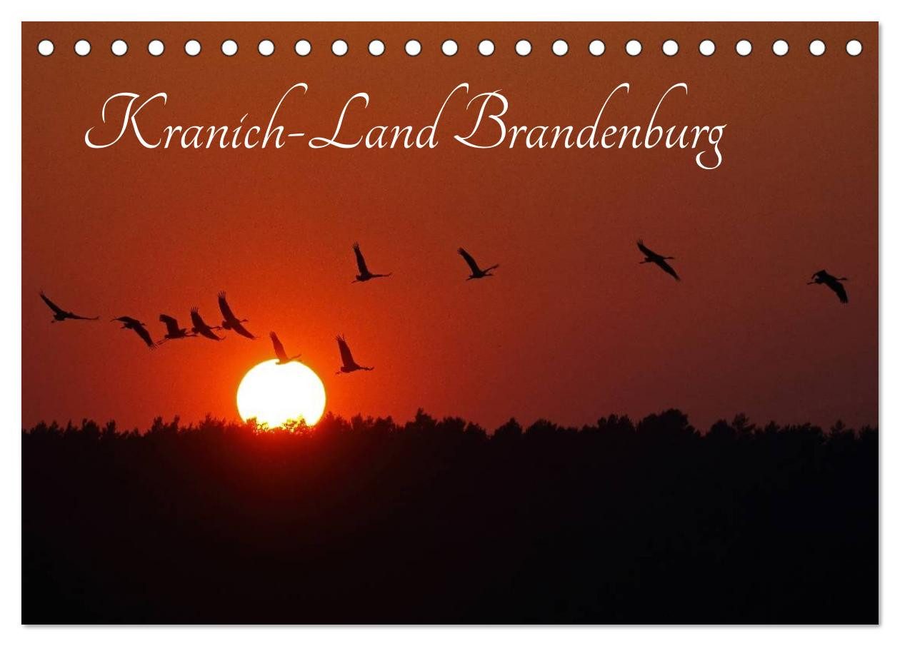 CALVENDO Настенный календарь Kranich-Land Brandenburg (Tischkalender 2026 DIN A5 quer), CALVENDO Mo