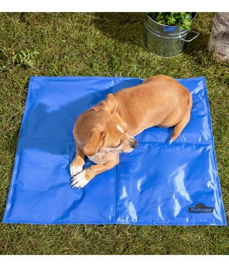 Dehner Hunde-Geschirr Hunde-Kühlmatte Refresh, mit Selbstkühleffekt, Selbstkühlende Hundematte, zwei Größen, ohne Stromquelle, pflegeleicht