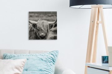 OneMillionCanvasses® Leinwandbild Schottischer Highlander - Kuh - Tiere - Schwarz-Weiß - Ländlich, (1 St), Leinwand Bilder für Wohnzimmer Schlafzimmer