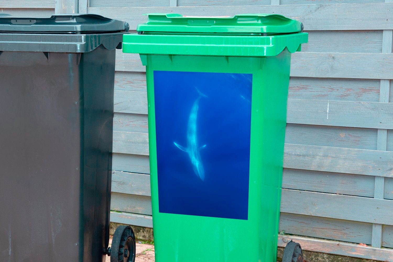 - Sticker, - Wandsticker Mülltonne, St), Wal Abfalbehälter Blau Blauwal (1 Mülleimer-aufkleber, MuchoWow Container,