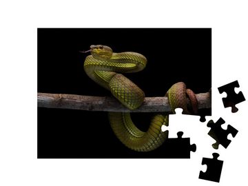 puzzleYOU Puzzle Giftige Schlange, endemisches Reptil in Java, 48 Puzzleteile, puzzleYOU-Kollektionen Schlangen, Tiere in Dschungel & Regenwald