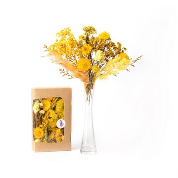 Trockenblume Getrocknete Blüten in frohen Farben - Lila Töne, Kunstharz.Art