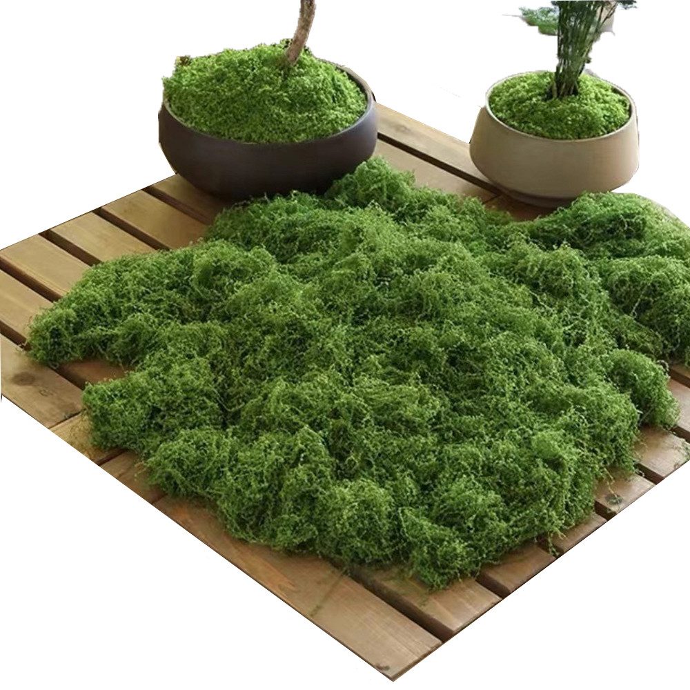 Kaket Bastelmoos 150g Kunstmoos zum Dekorieren, Kunstmoos zum Basteln Künstliches Moos, für Wand Krippe Aquarium Krippe Modellbau