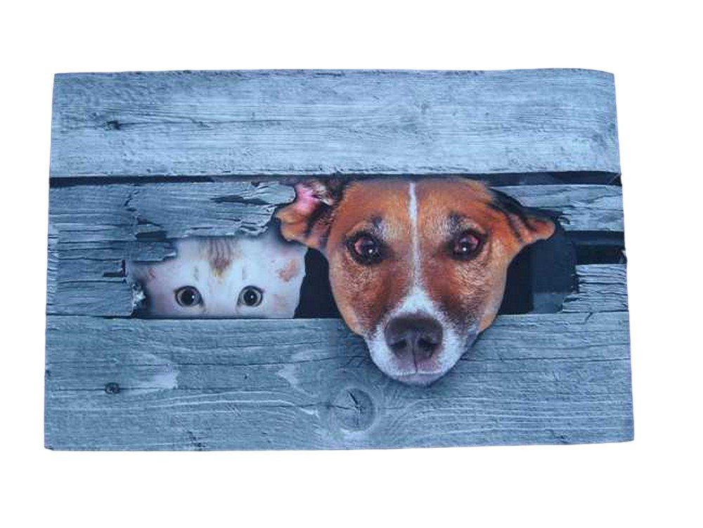 Deko-Impression Fußmatte Fußabstreifer Hund Katze Fußmatte Abtreter Türmatte 70 x 45 cm