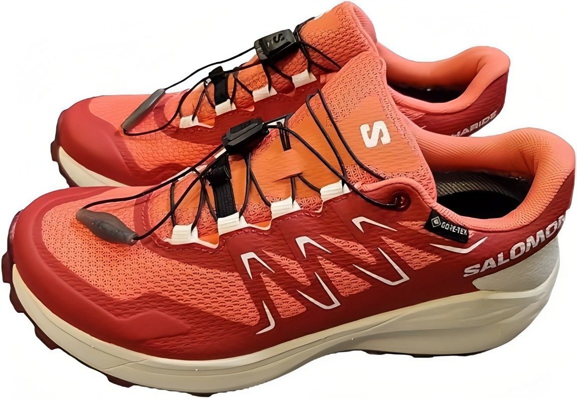 Salomon ALPHARIDE GTX W Outdoorschuh