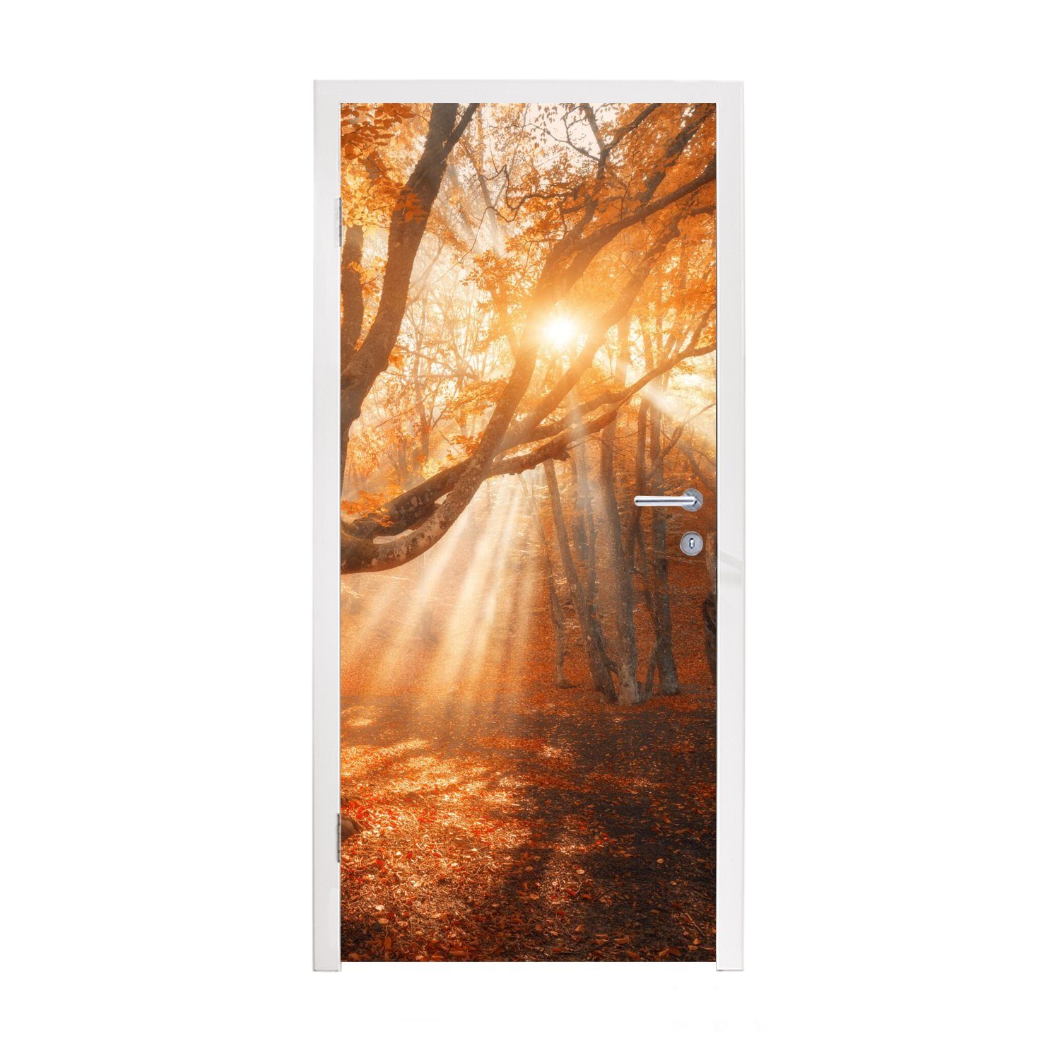 MuchoWow Türtapete Baum - Natur - Herbst, Matt, bedruckt, (1 St), Fototapete für Tür, Türaufkleber, 75x205 cm