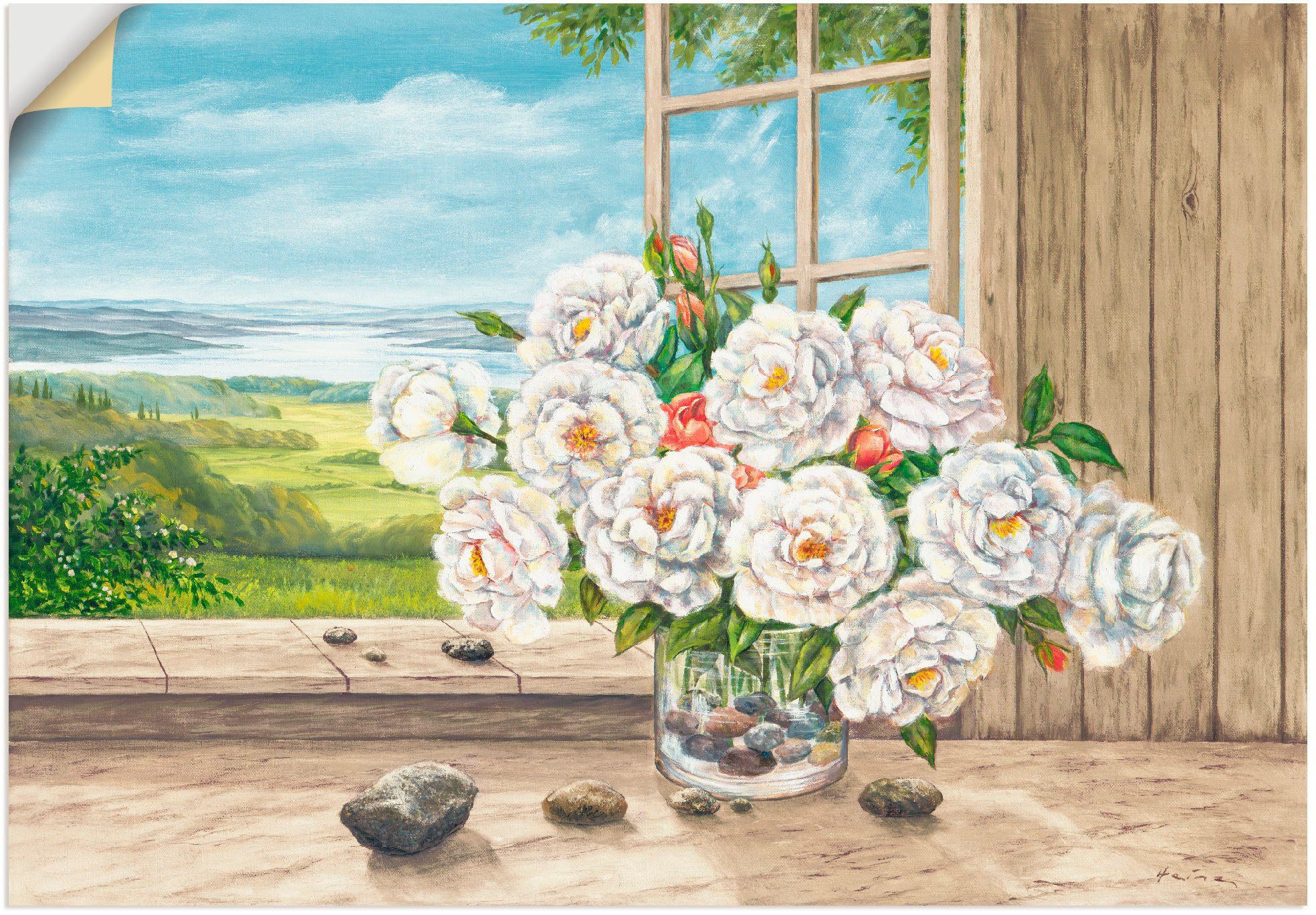 oder Blumen Wandbild versch. Weiße (1 Rosen am in als Wandaufkleber Leinwandbild, Fenster, Artland Größen Poster Alubild, St),