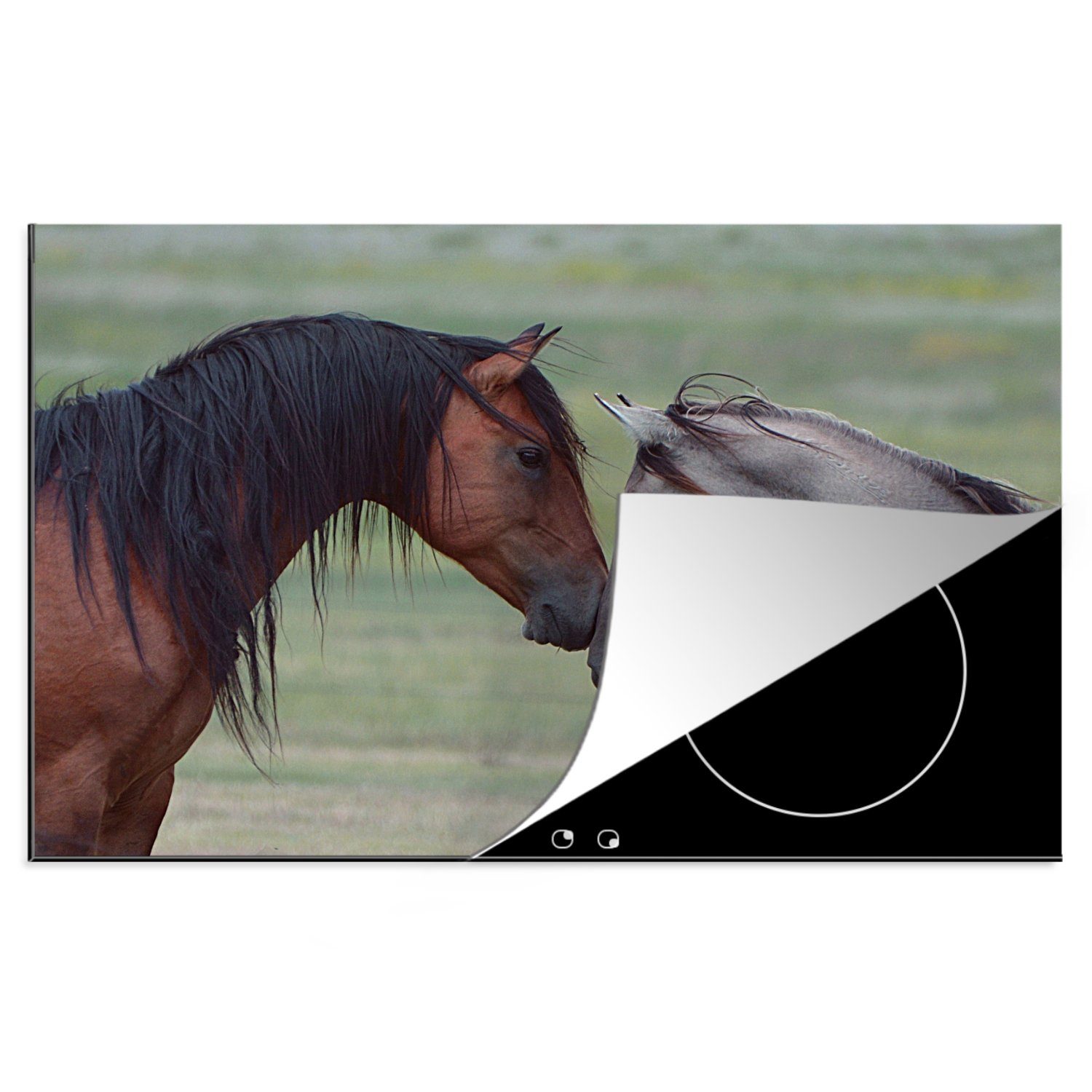 für 81x52 tlg), Herdblende-/Abdeckplatte Mustang-Pferde MuchoWow (1 Schutz die Vinyl, legen Induktionskochfeld Zwei Ceranfeldabdeckung wilde aneinander, ihre Köpfe küche, cm,