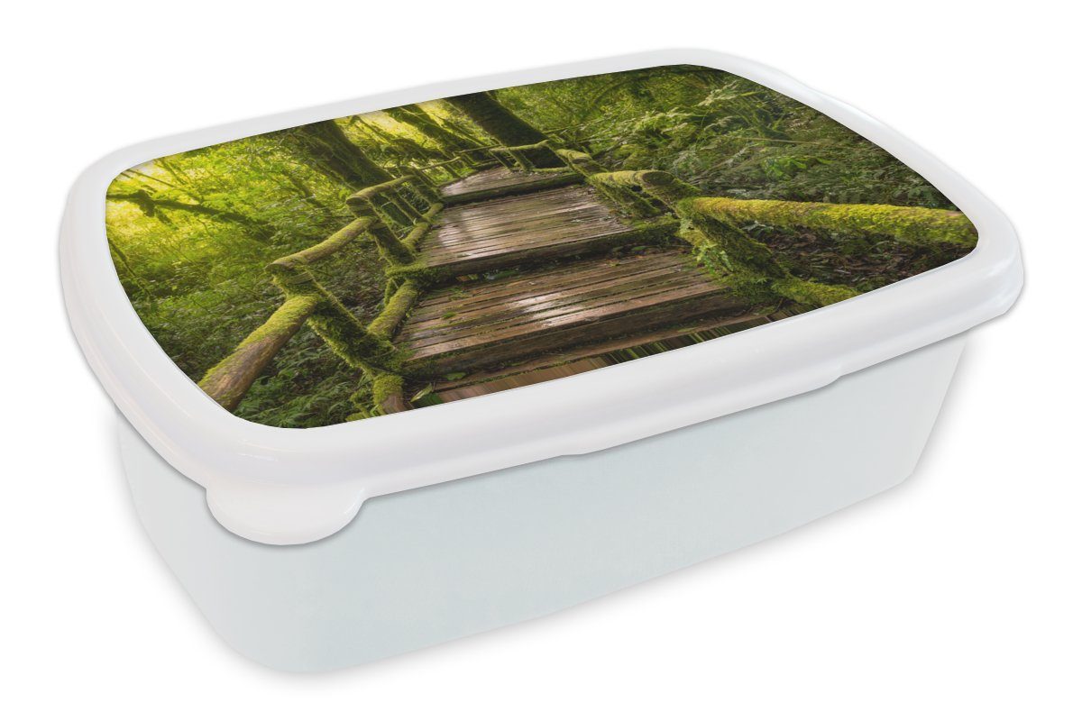 MuchoWow Lunchbox Schöner Regenwald und Dschungel, Kunststoff, (2-tlg), Brotbox für Kinder und Erwachsene, Brotdose, für Jungs und Mädchen weiß