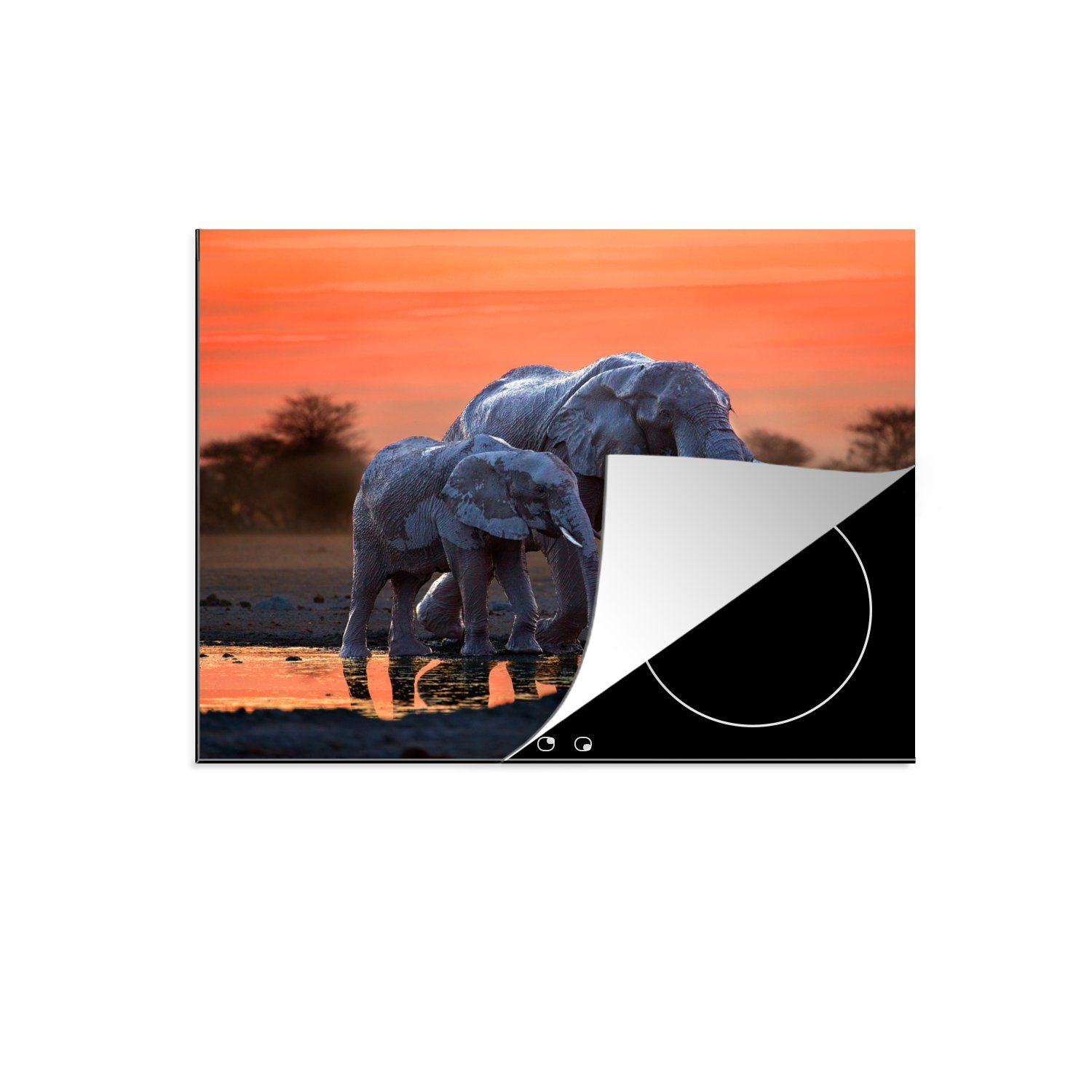 Vinyl, Ceranfeldabdeckung Tiere Wasser - Herdblende-/Abdeckplatte (1 für - 59x52 cm, - - Induktionsmatte Orange, tlg), küche, Sonnenuntergang MuchoWow Elefant die