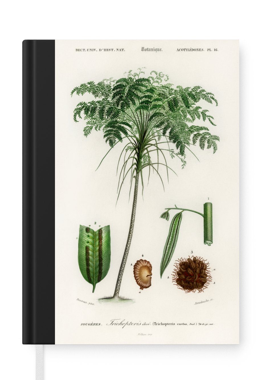 MuchoWow Notizbuch Baum - Vintage - Saatgut, Journal, Merkzettel, Tagebuch, Notizheft, A5, 98 Seiten, Haushaltsbuch