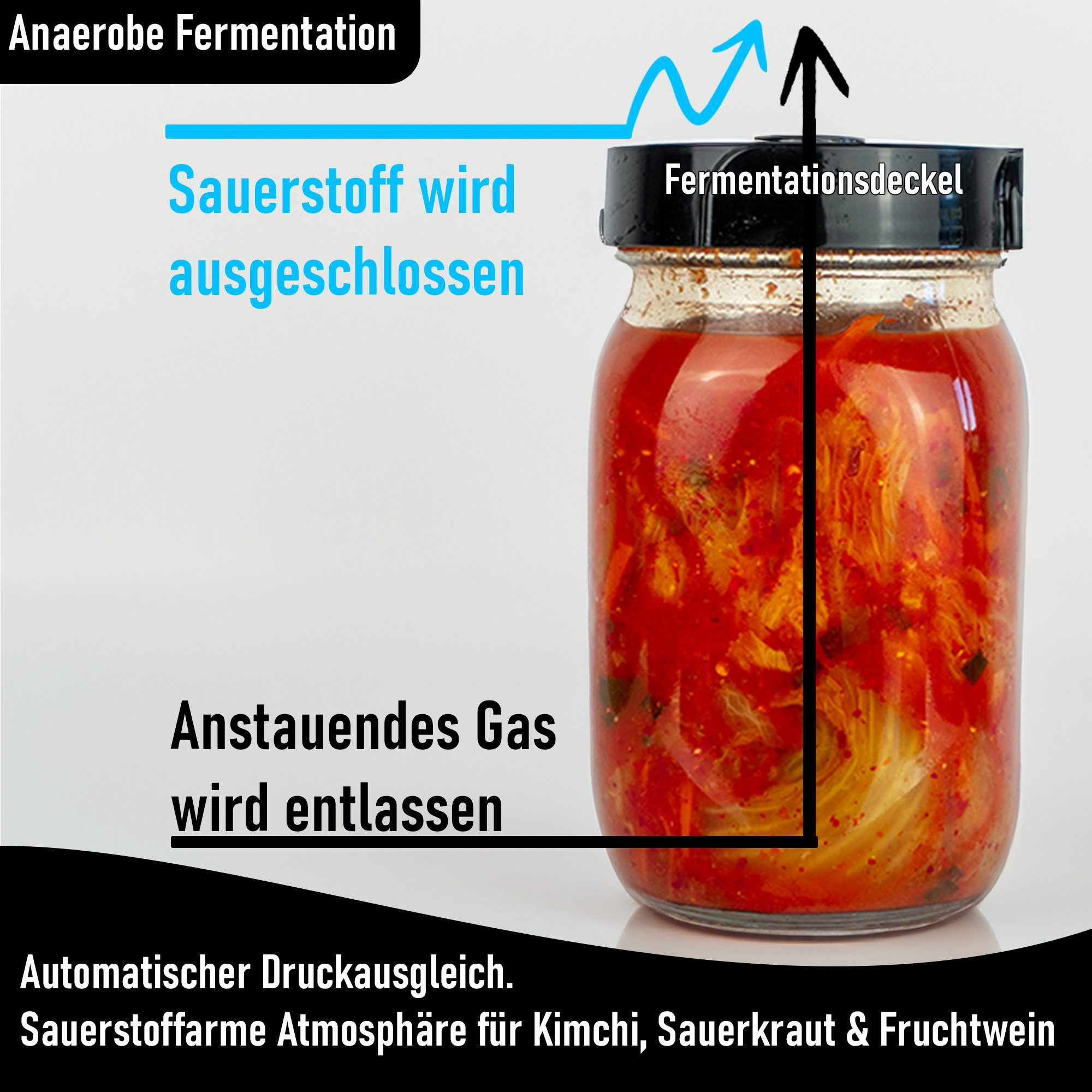 Blubberglas Fermentationsglas Fermentationskit Sauerkraut, Kombucha, Kimchi, Sauerteig fermentieren, (Glas, Fermentationsdeckel, Glasgewicht, Holzstampfer, Baum – Bild 2 von 5