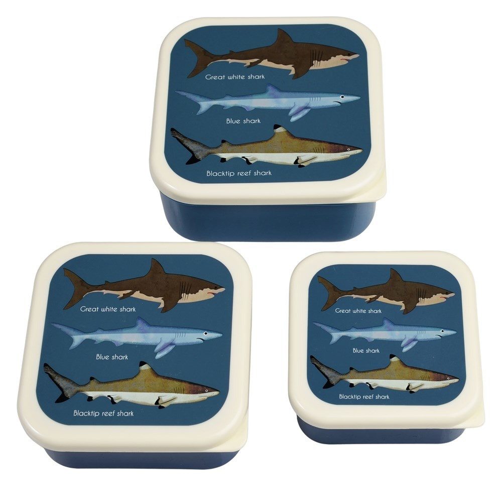 Rex London Lunchbox Snack Box 3er Set Sharks Haie, Kunststoff, BPA-frei, (Set, 3-tlg., ca. 11,5 x 11,5 x 5,5 cm (große Box), jede Box mit eigenem Design, passt genau in den größeren Behälter