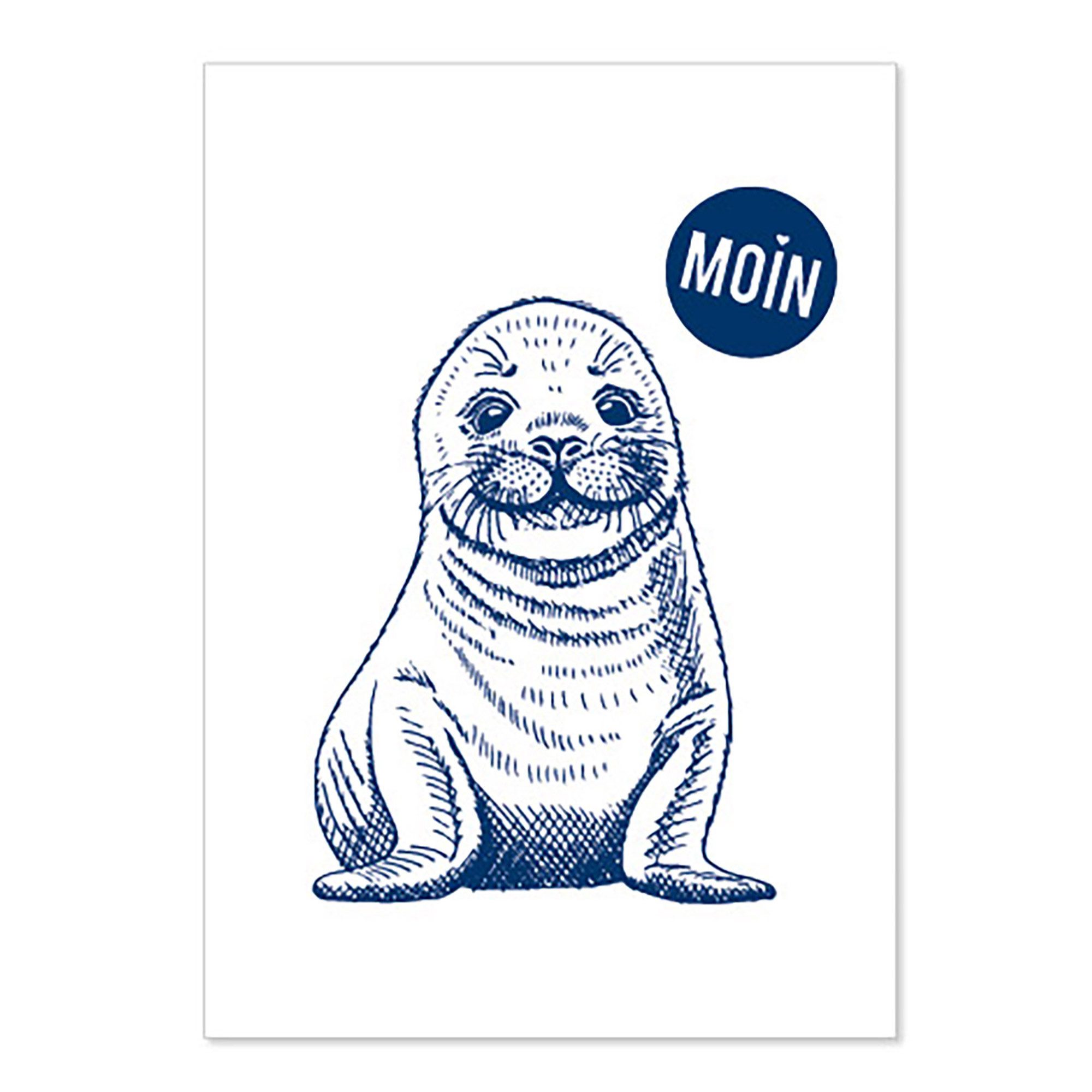Postkarte Postkarte Moin Seehund