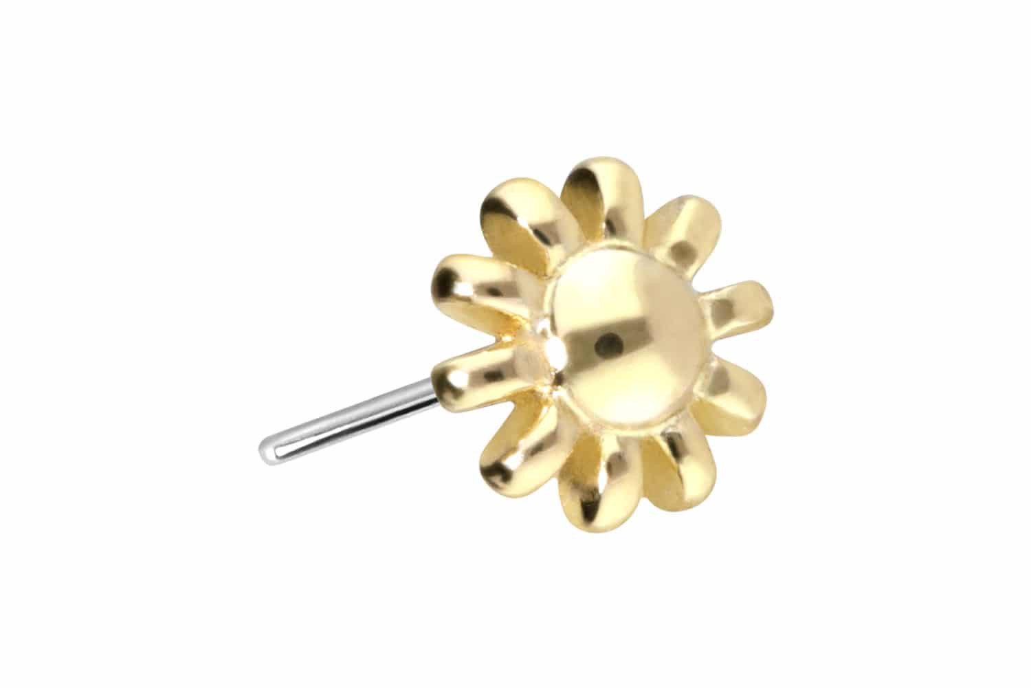 Piercing-Set 14 Karat Gold Aufsatz mit Titan Push Pin BLUME