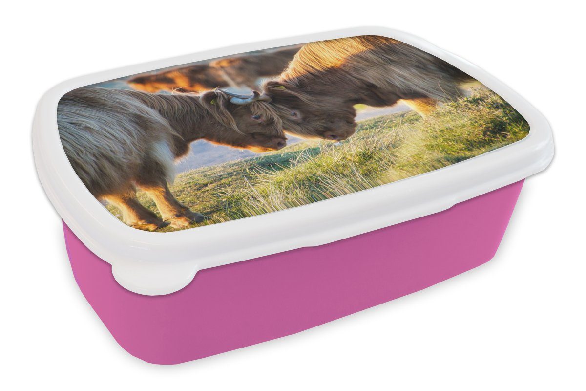 MuchoWow Lunchbox Schottische Highlander - Tiere - Sonne, Kunststoff, (2-tlg), Brotbox für Erwachsene, Brotdose Kinder, Snackbox, Mädchen, Kunststoff rosa