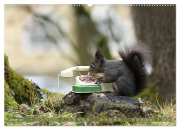 CALVENDO Wandkalender Eichhörnchen - Kleine Fotostars (Premium, hochwertiger DIN A2 Wandkalender 2023, Kunstdruck in Hochglanz)