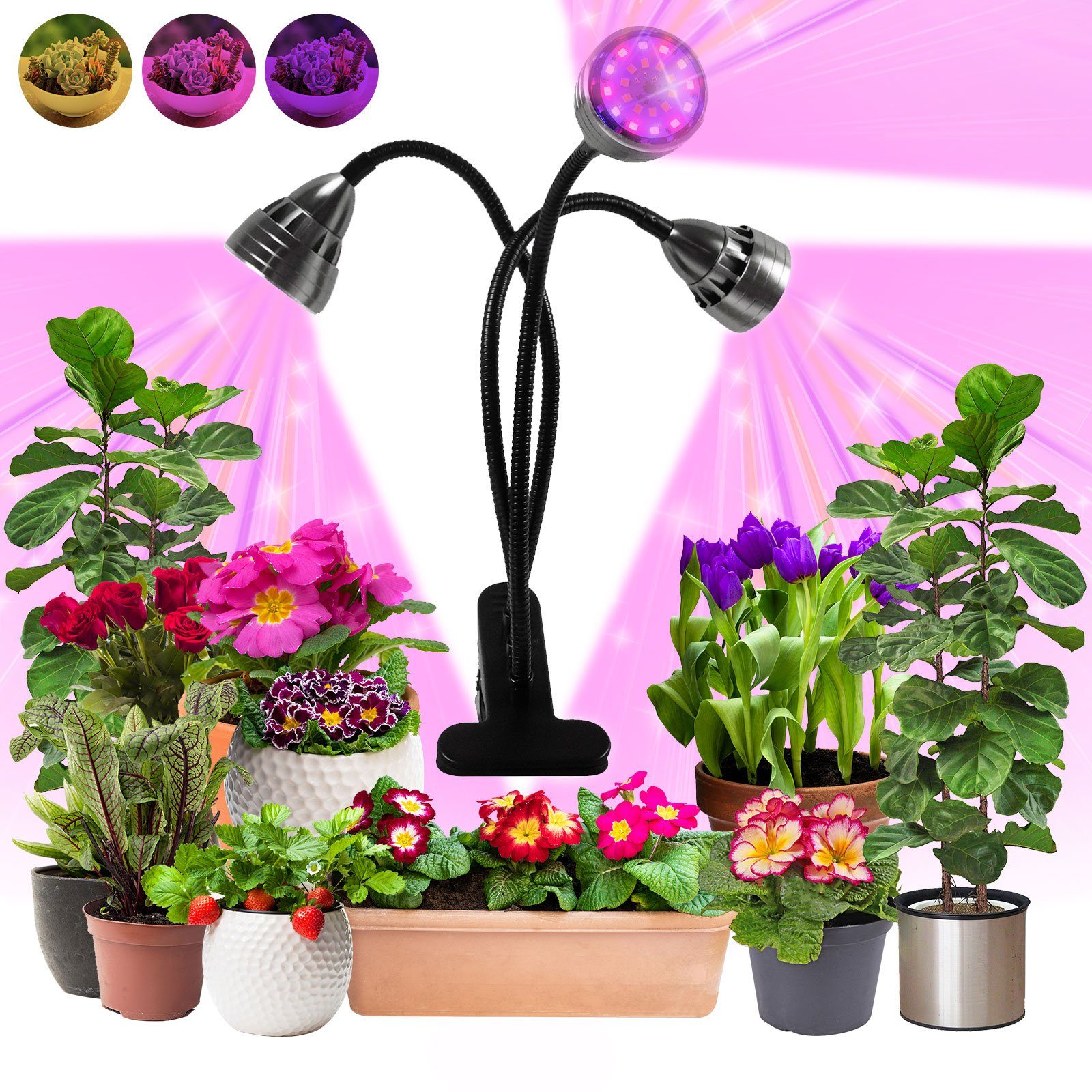 Rosnek Pflanzenlampe 1-4 Köpfe, Clip-on, 3 Modi, Timer, USB, für Zimmerpflanzen-Setzlinge, rot, blau und gelb, 5-stufige Helligkeit