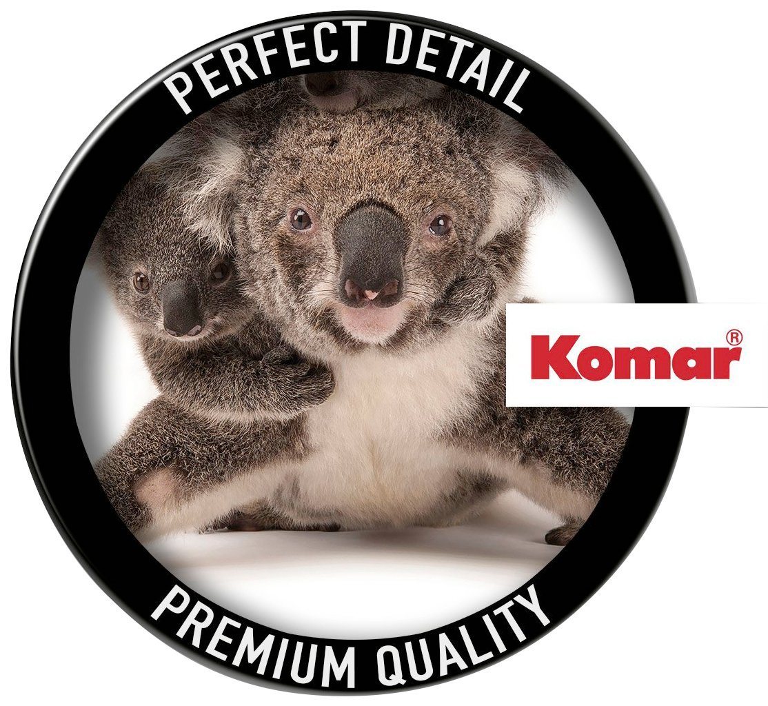 Komar Vliestapete »Koala«, glatt, bedruckt, realistisch, (6 St), 300 x 280 cm (Breite x Höhe) - 6 Bahnen-kaufen