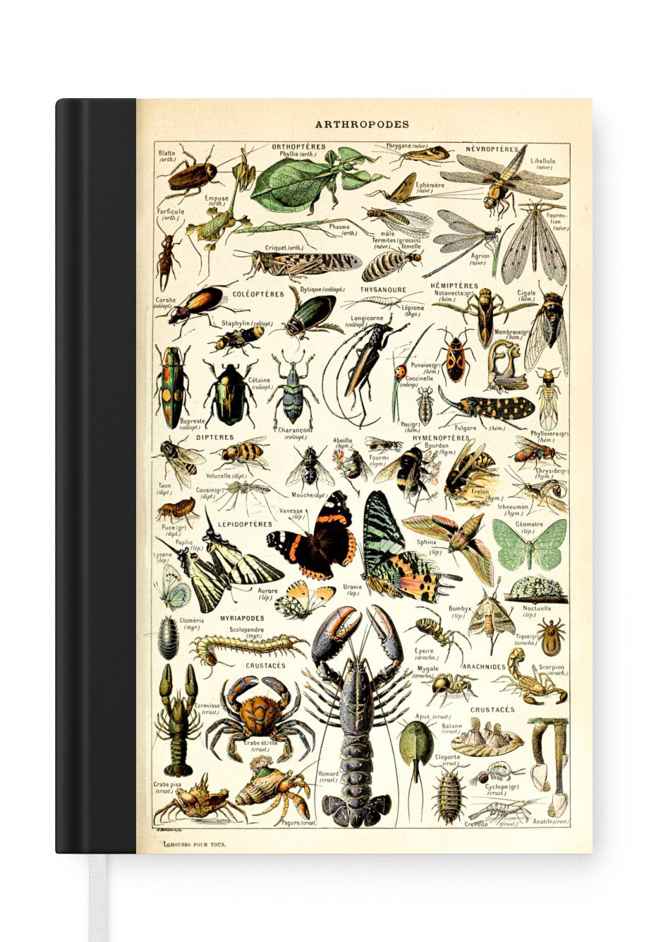 MuchoWow Notizbuch Tiere - Adolphe Millot - Vintage - Insekten - Kunst, Journal, Merkzettel, Tagebuch, Notizheft, A5, 98 Seiten, Haushaltsbuch