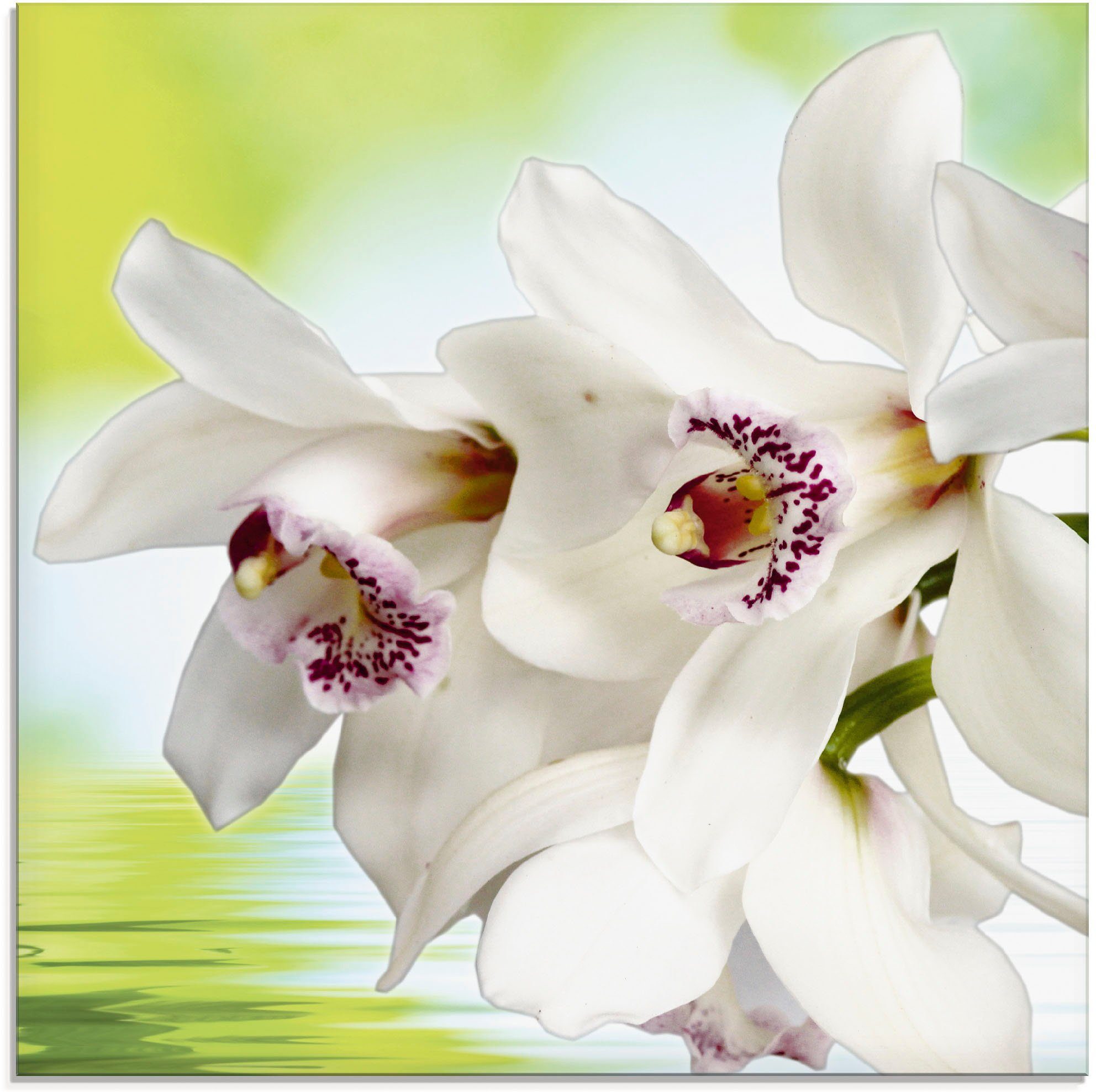Artland Glasbild Weiße Orchidee, Blumen (1 St), in verschiedenen Größen, 6  mm Abstand von der Wand, freischwebend