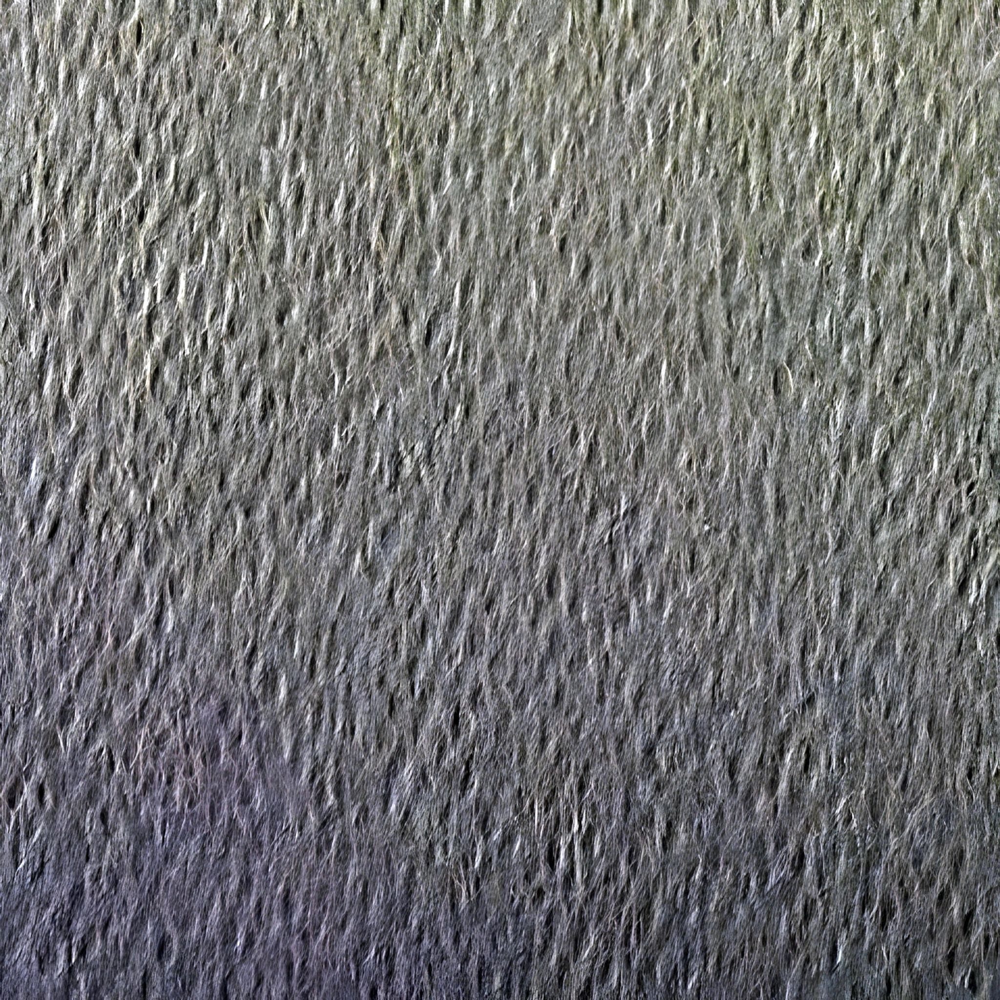 CLAIREFONTAINE Zeichenpapier Clairefontaine Zeichenpapier A4 160g Dunkelgn 25Bg