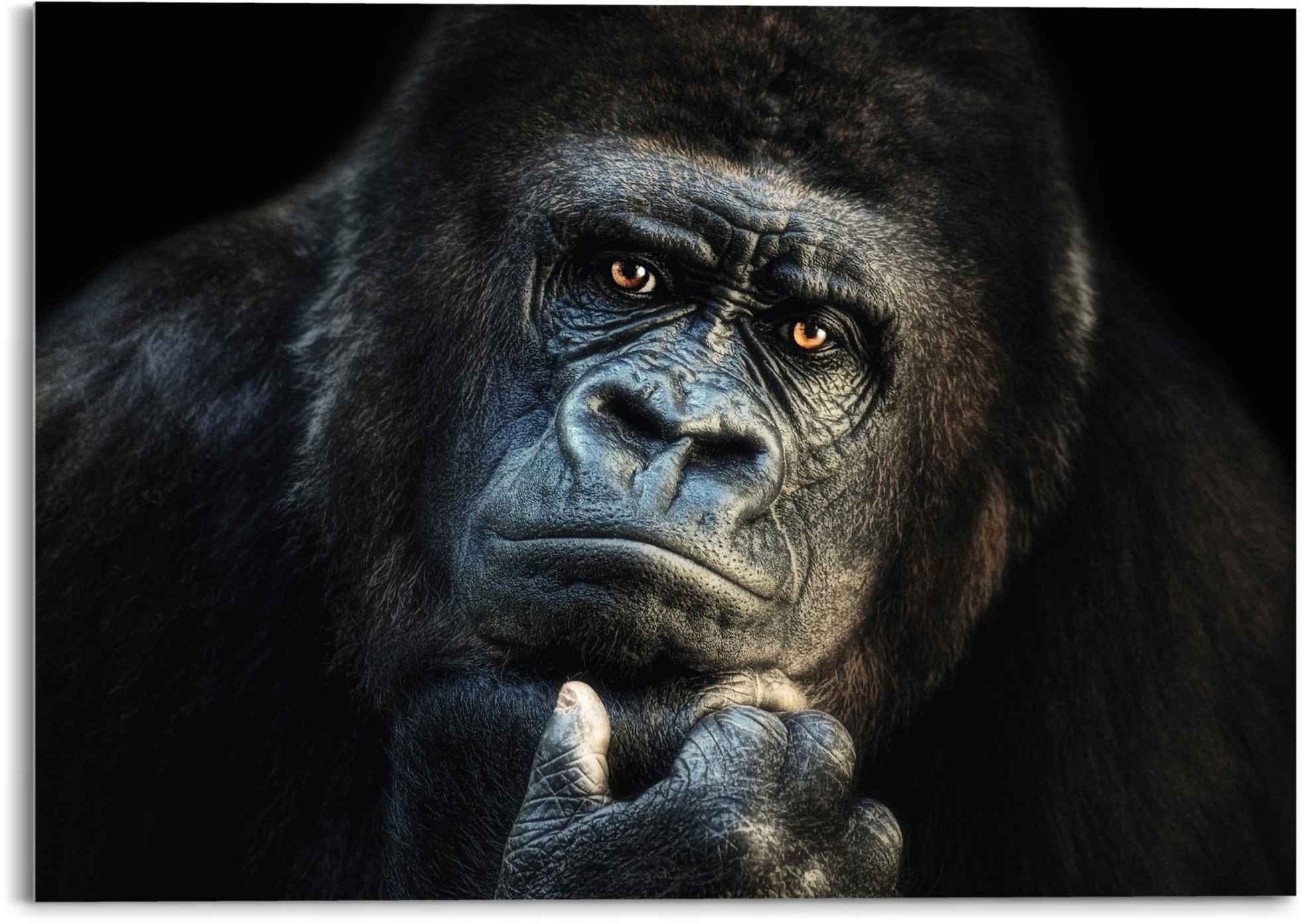 Reinders! Glasbild Glasbild Gorilla Affe - Kräftig - Nachdenklich, Affen (1 St) | Bilder