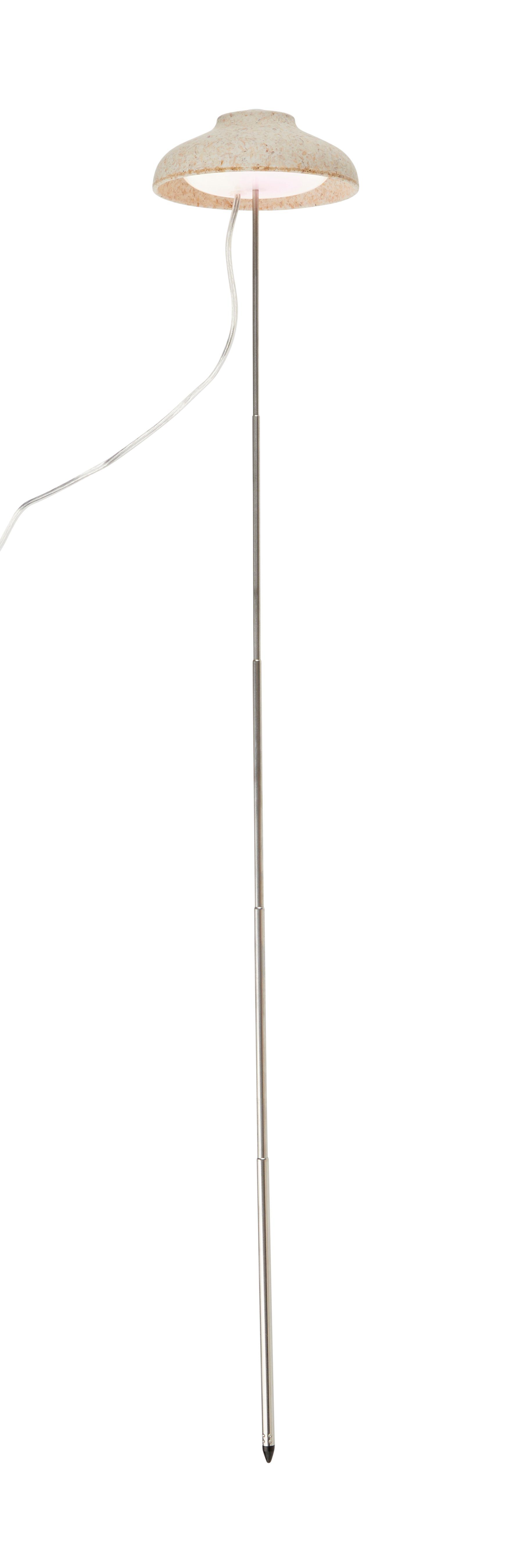 Northpoint Pflanzenlampe Northpoint LED Pflanzenleuchte Pflanzenlicht günstig online kaufen