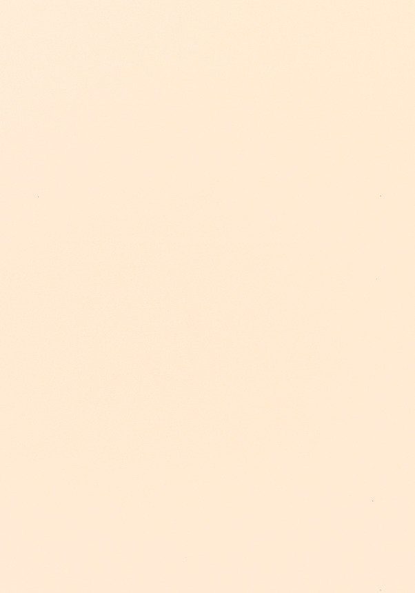 Verdunklungsrollo DKL SK06/MK06/CK02/FK06/MK04/CK04 1085S, VELUX, verdunkel günstig online kaufen