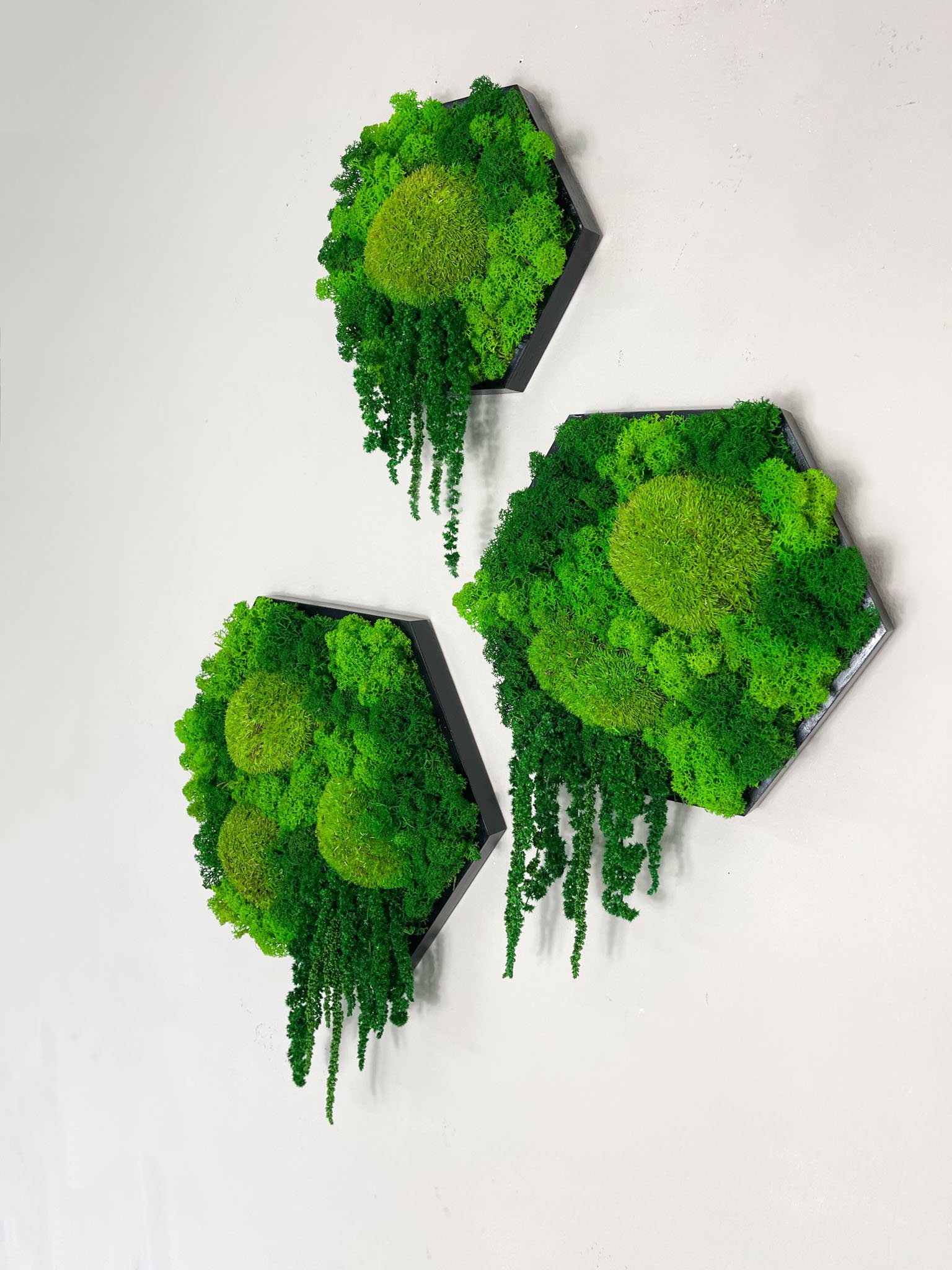 Gedankenwunder Manufaktur Bild Island Ranke Moosbild Hexagon Sechseck Wabe Islandmoos & Ballenmoos