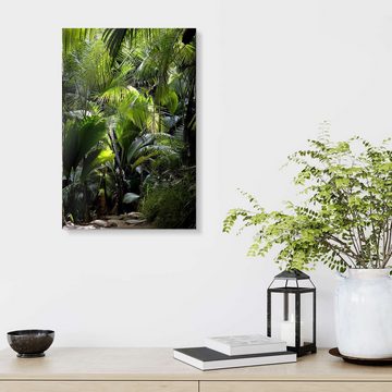 Posterlounge Acrylglasbild Thomas Herzog, Dschungelpfad, Badezimmer Natürlichkeit Fotografie