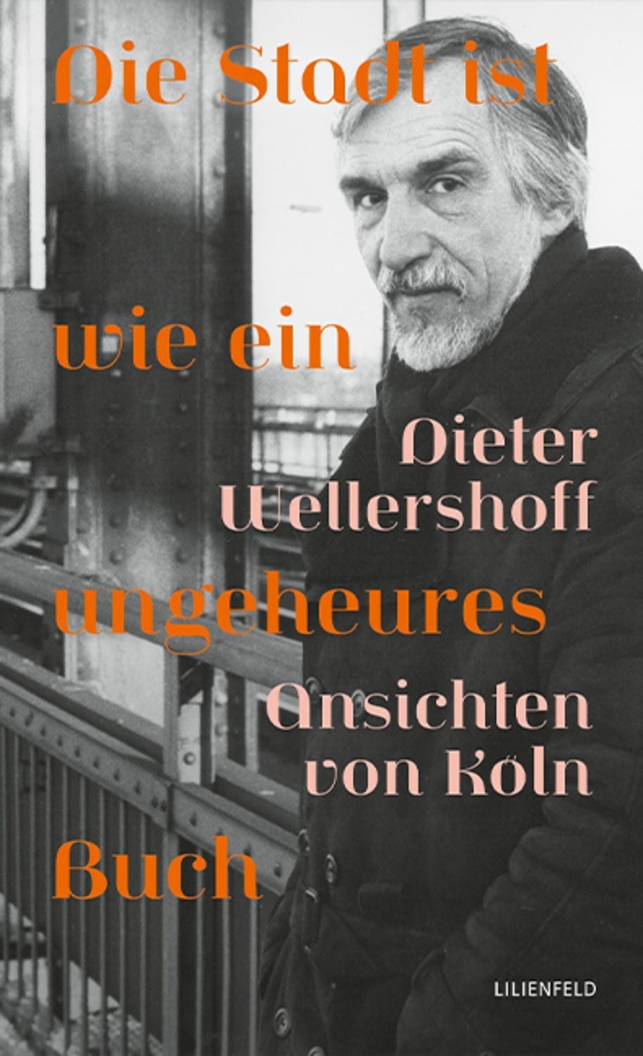 Die Stadt ist wie ein ungeheures Buch / Dieter Wellershoff