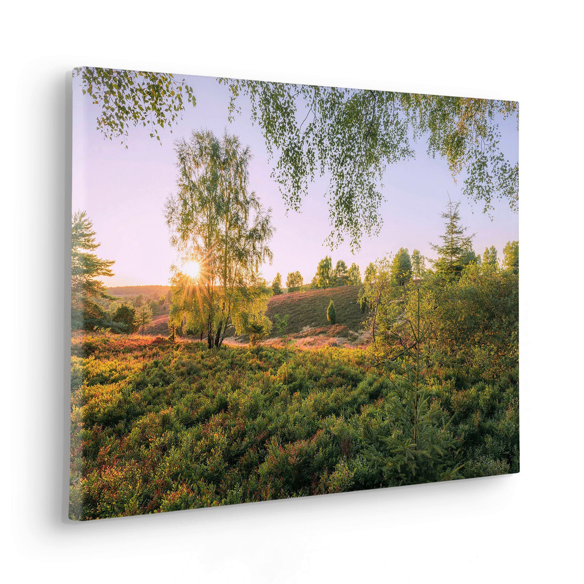 Komar Leinwandbild Sommerabend - Größe 60 x 40 cm, Baum, Berge, Blumen, Blätter, Foto, Jahreszeiten, Landschaft, Meer, Natur, Palmen, Strand (Packung, 1 St), Keilrahmenbild mi Echtholzrahmen