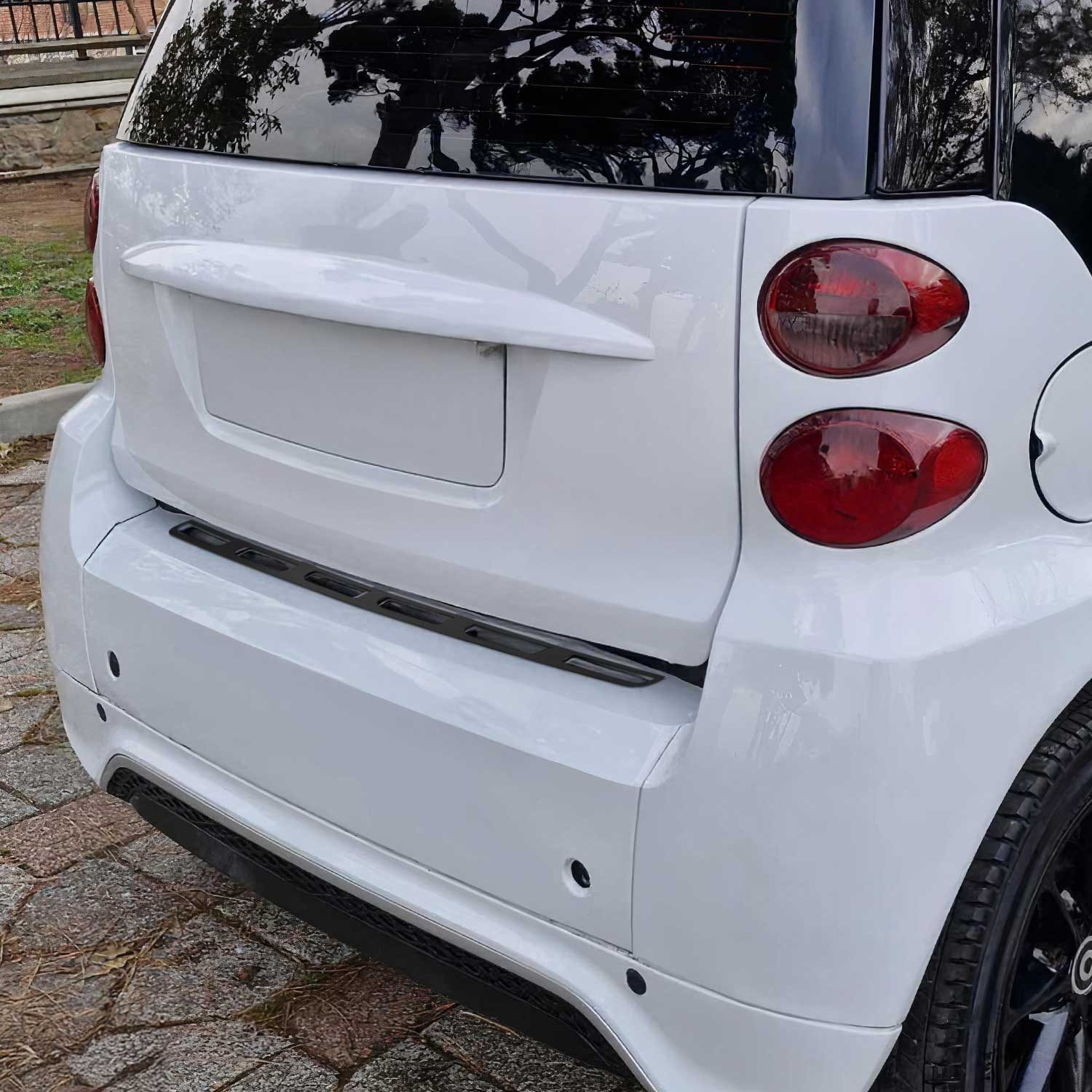 OMAC Ladekantenschutz für Smart ForTwo 2007-2014 Gebürstet Dunkel, Zubehör für Smart ForTwo 2007-2014, Langlebig,Einfache Reinigung,Einfache Installation,Rostbeständig