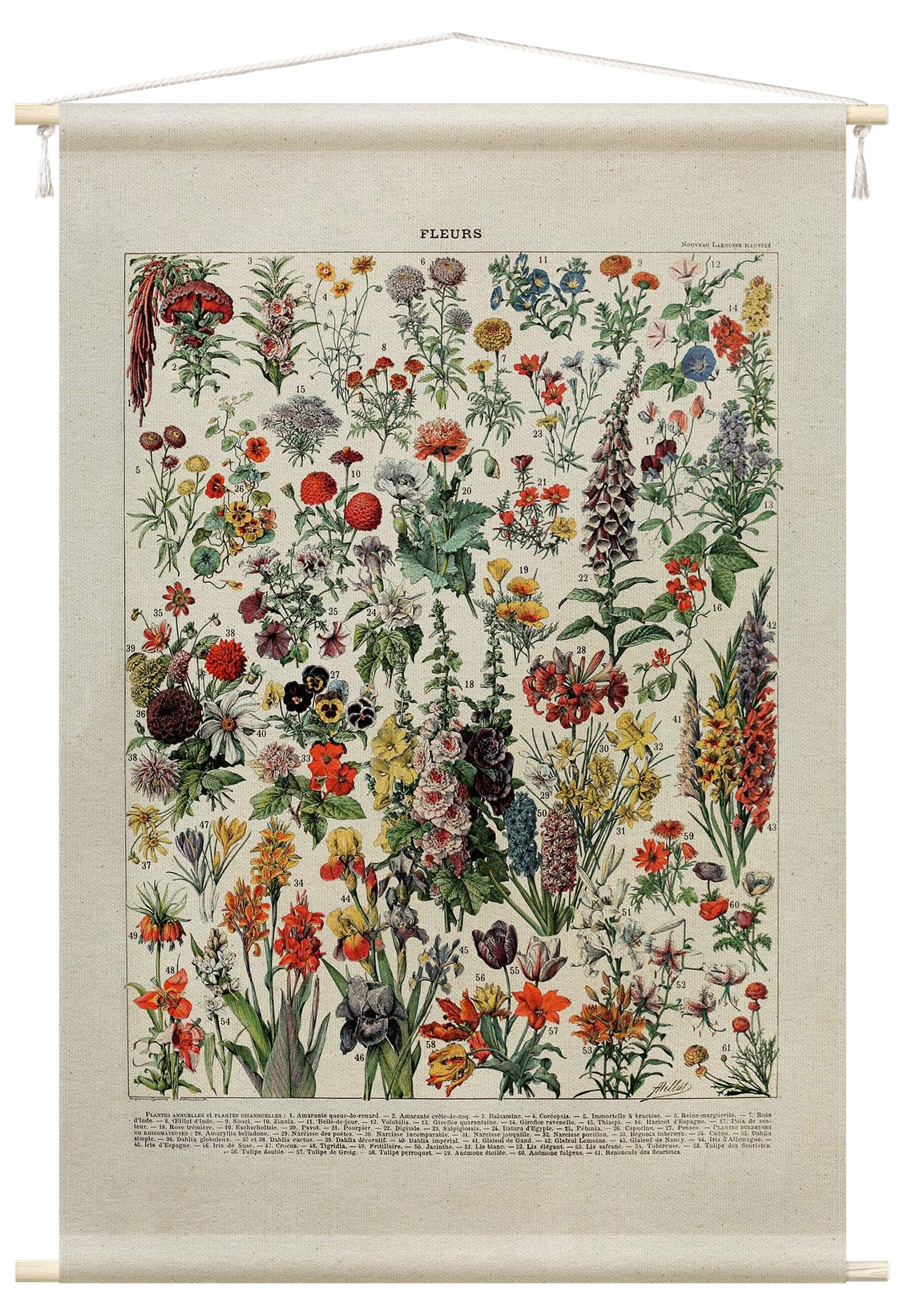 Bilderdepot24 Wandteppich modern Blumen Vintage Schautafeln bunt, rechteckig, Höhe: 2.6 mm, großes Wandbild aus Natur-Baumwolle Wandbehang Stoffbild Tuch Wollseil