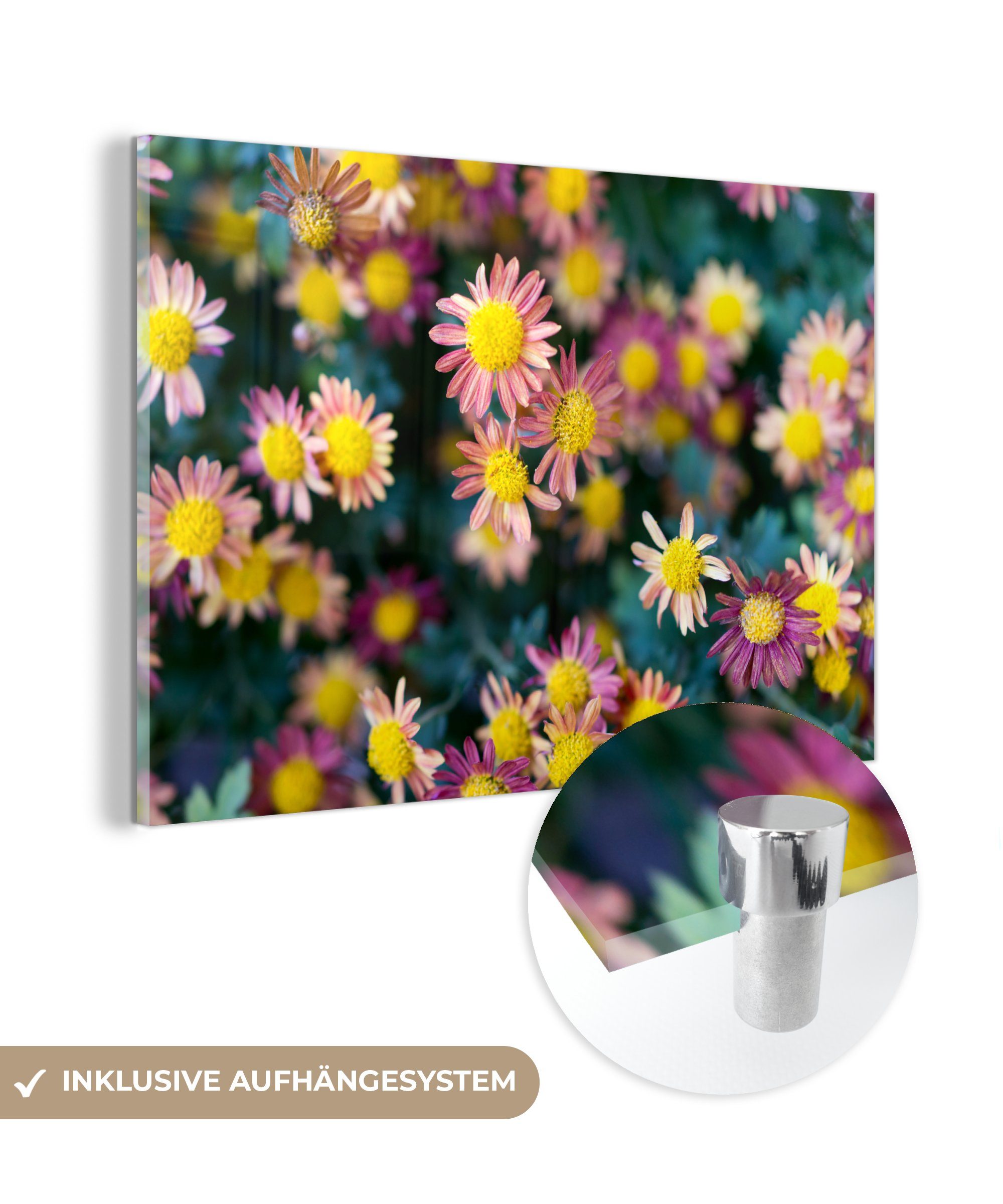 MuchoWow Acrylglasbild & St), Herbst Lila, Blumen - Schlafzimmer Wohnzimmer - (1 Acrylglasbilder