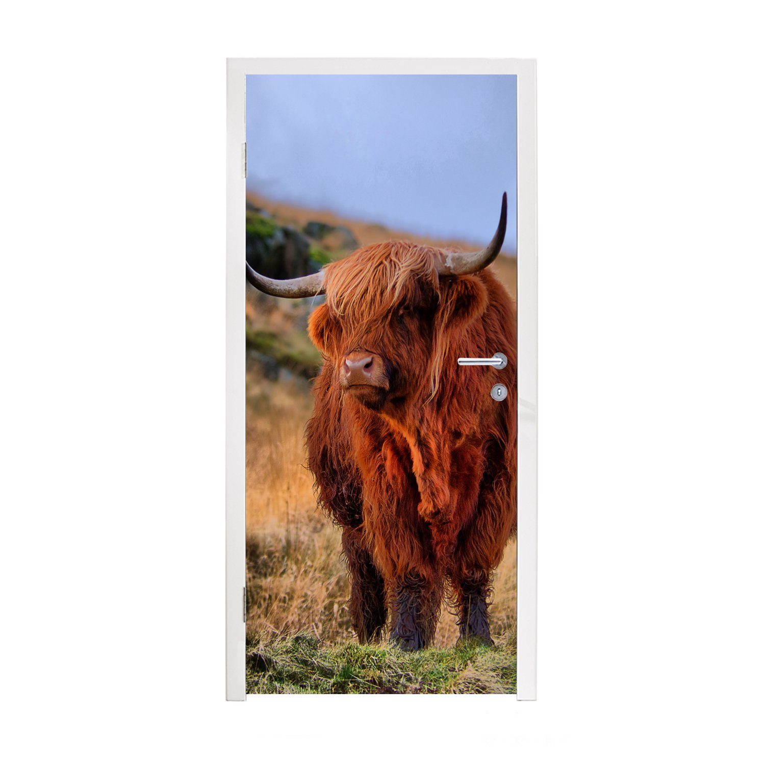 MuchoWow Türtapete Schottische Highlander - Gras - Steine, Matt, bedruckt, (1 St), Fototapete für Tür, Türaufkleber, 75x205 cm