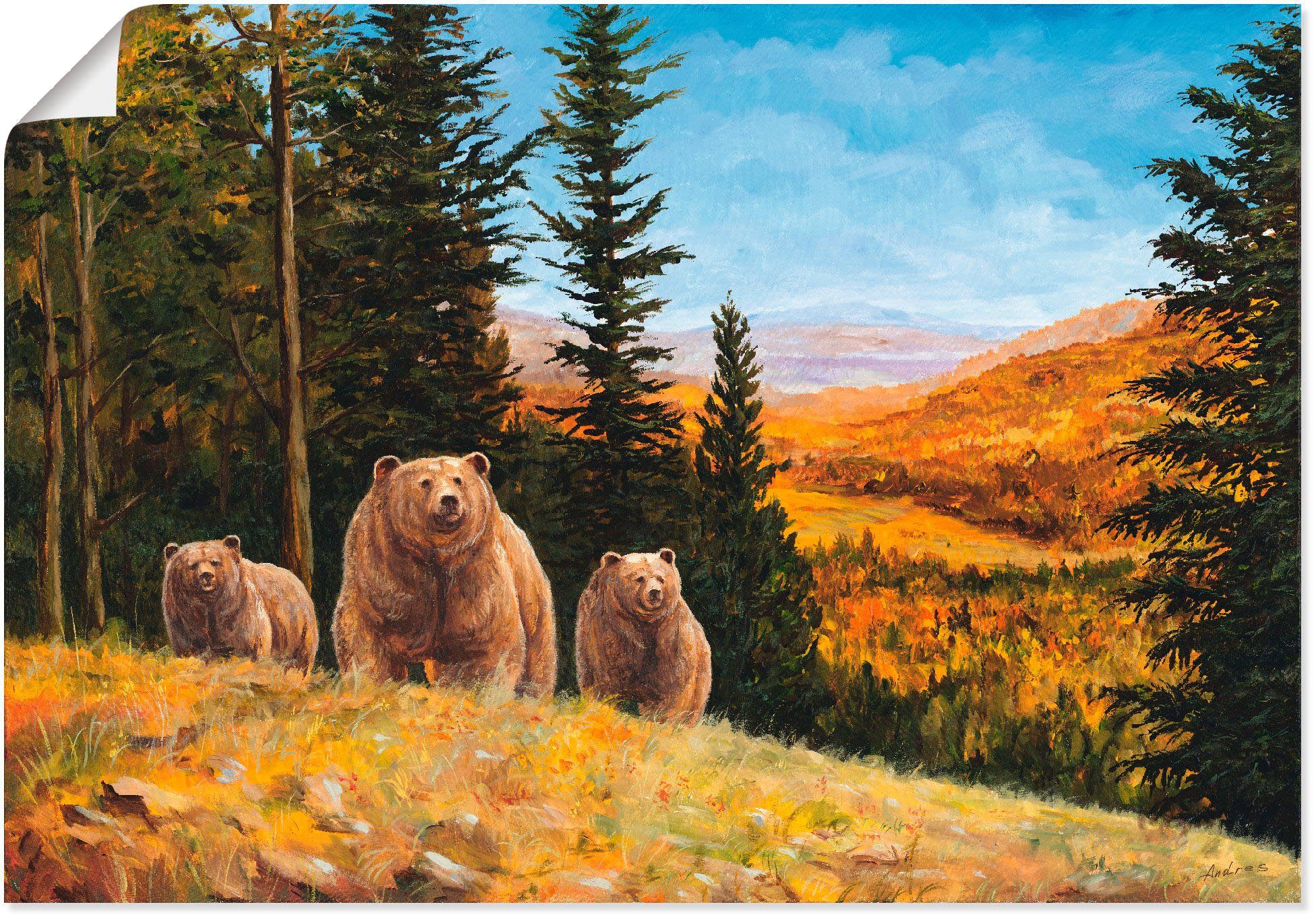(1 Bären, Wandbild St), Wildtiere versch. Größen Poster Alubild, in Wandaufkleber als Leinwandbild, Artland Grizzly oder