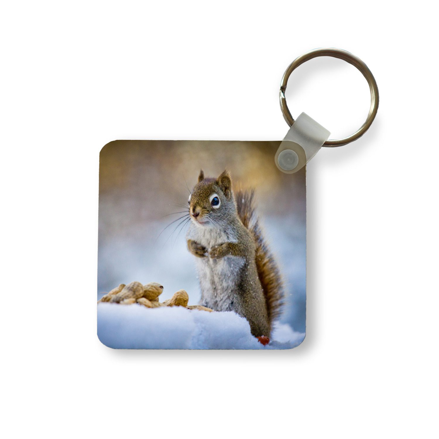 MuchoWow Schlüsselanhänger Eichhörnchen - Nüsse - Schnee - Winter - Nagetiere - Jahreszeiten, Quadratisch, Accessoire Auto / Haus / Rucksack / Handtasche, 5x5 cm