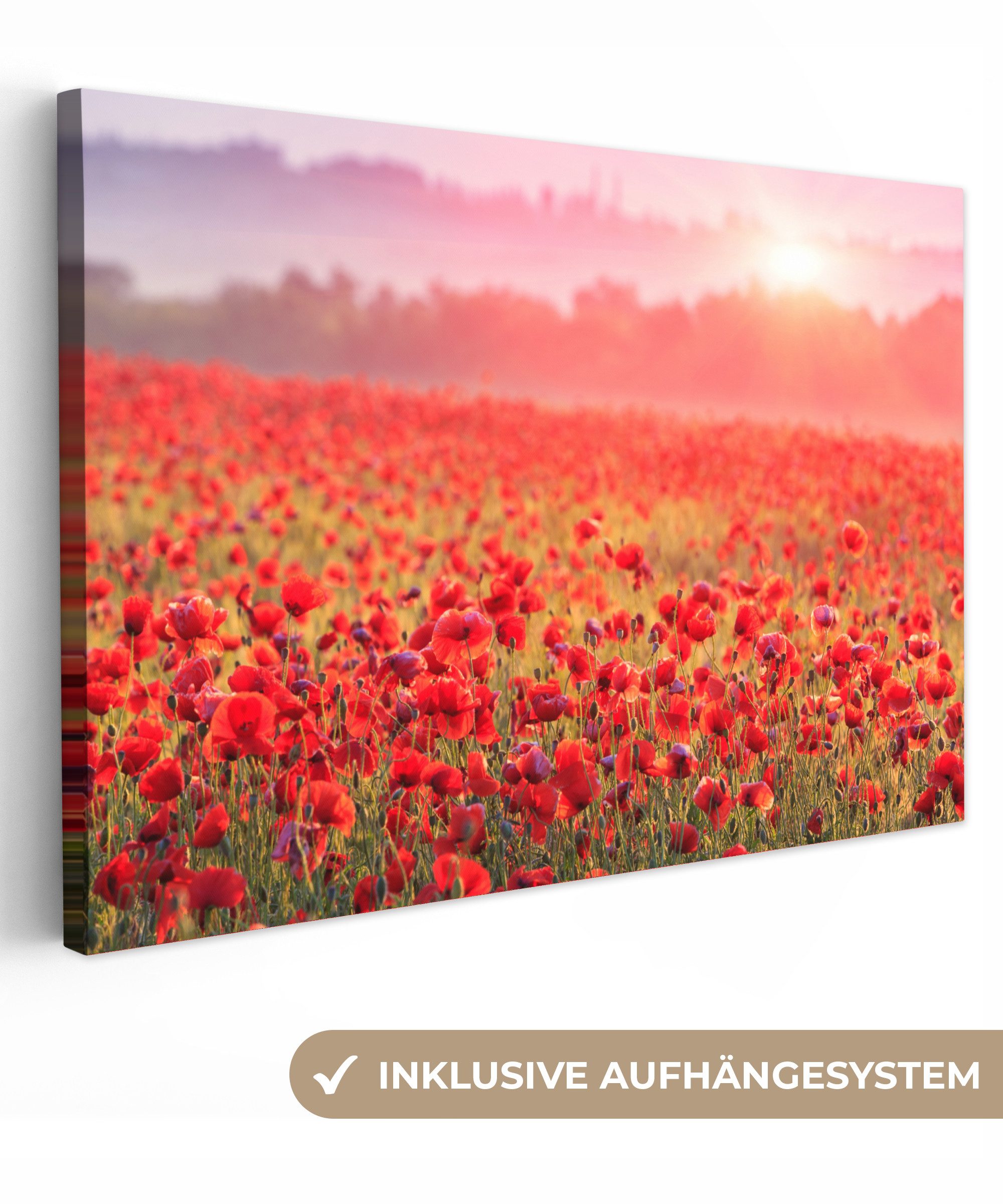 OneMillionCanvasses® Leinwandbild Blumen - Mohn - Rot - Blumenfeld, Fotodruck (1 St), Leinwand Изображения Klein, Wand Dekoration Aesthetic 30x20 cm