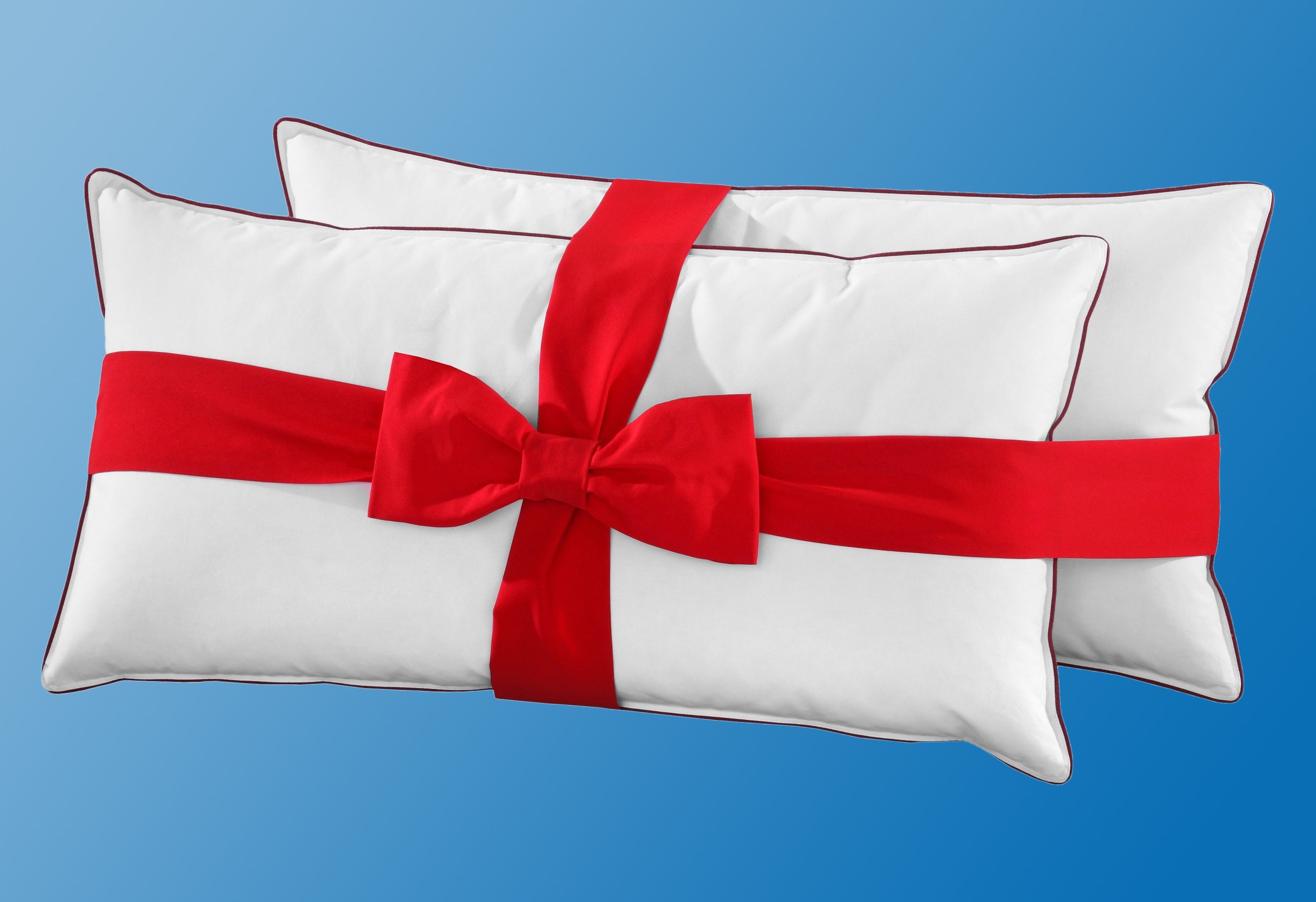 Hanse by RIBECO Federkopfkissen Jule, Füllung: 90% Federn, 10% Daunen, Jubi günstig online kaufen