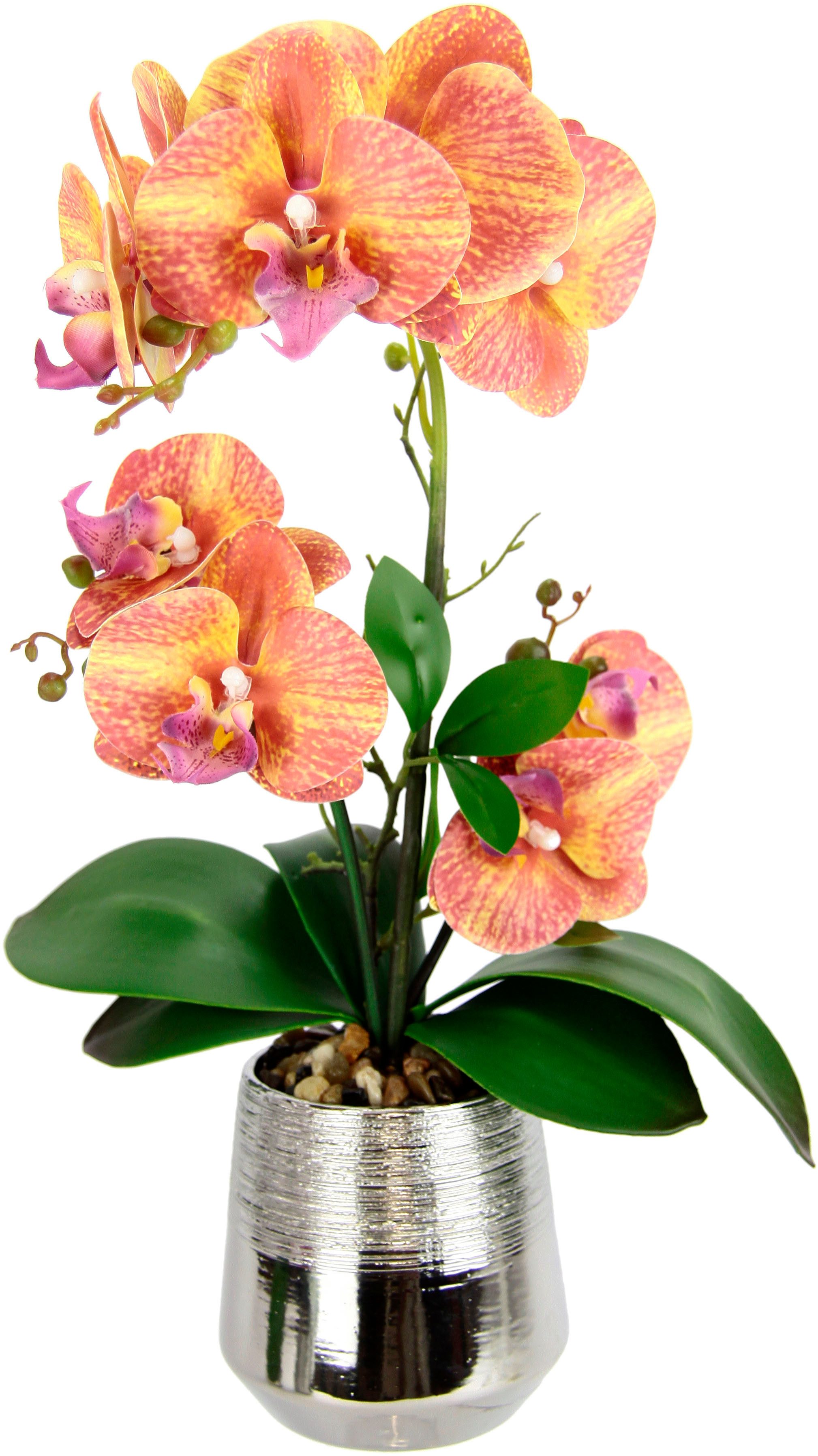 Kunstorchidee Phalaenopsis Orchidee im Topf, I.GE.A., günstig online kaufen
