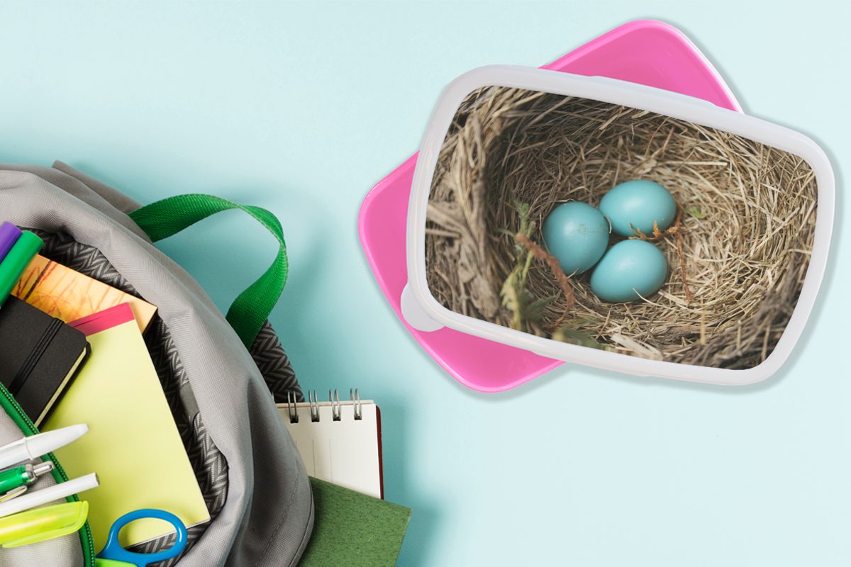 Blau - Brotbox Eier für Rotkehlchen, Mädchen, (2-tlg), Kunststoff - Kinder, Lunchbox Erwachsene, Brotdose Snackbox, rosa Kunststoff, MuchoWow