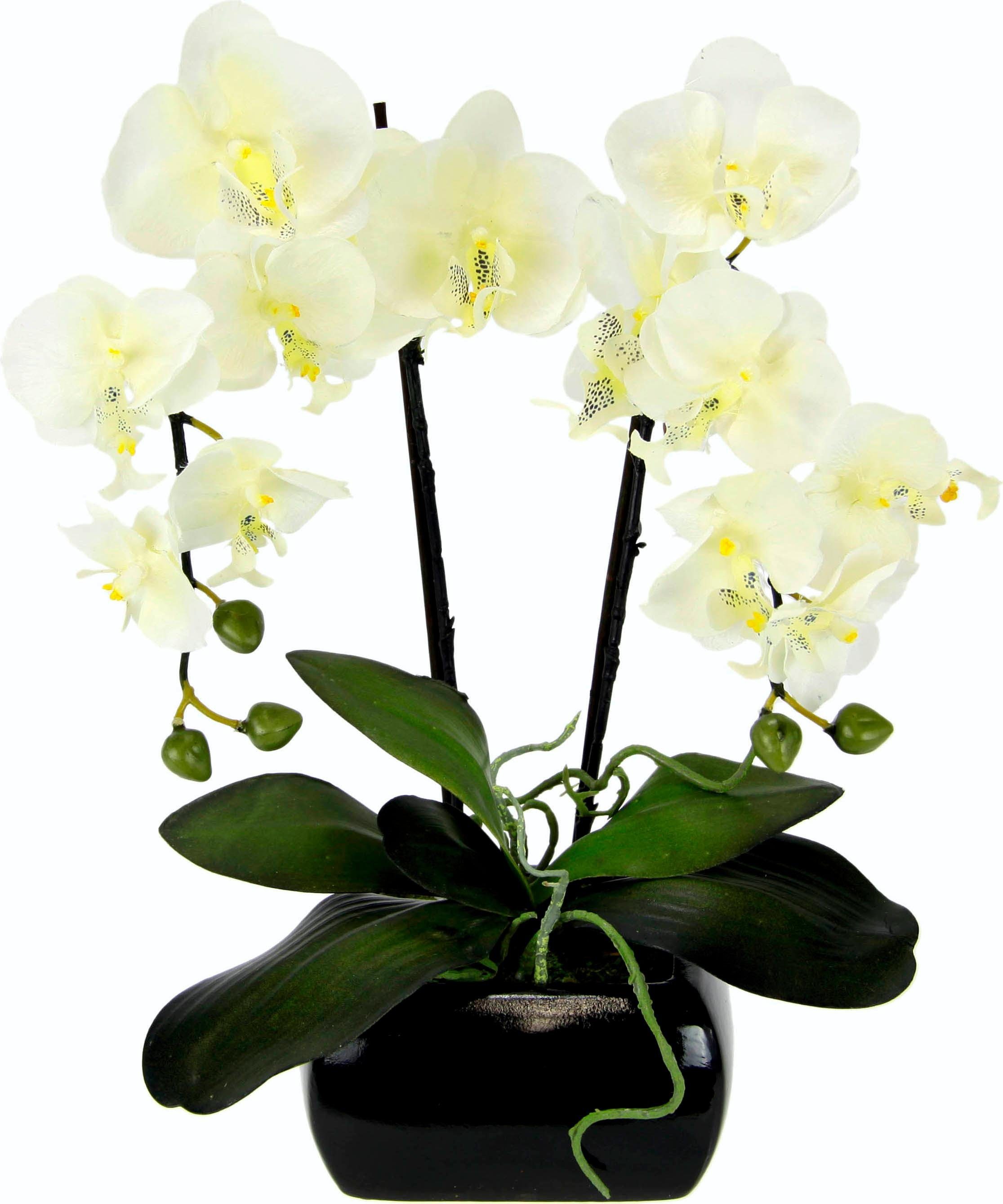 Kunstpflanze Phalaenopsis, I.GE.A., Höhe 58 cm