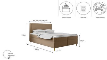 Kaiser Möbel Boxspringbett mit bettkasten matratze topper GOLDEN, Matratze und Topper