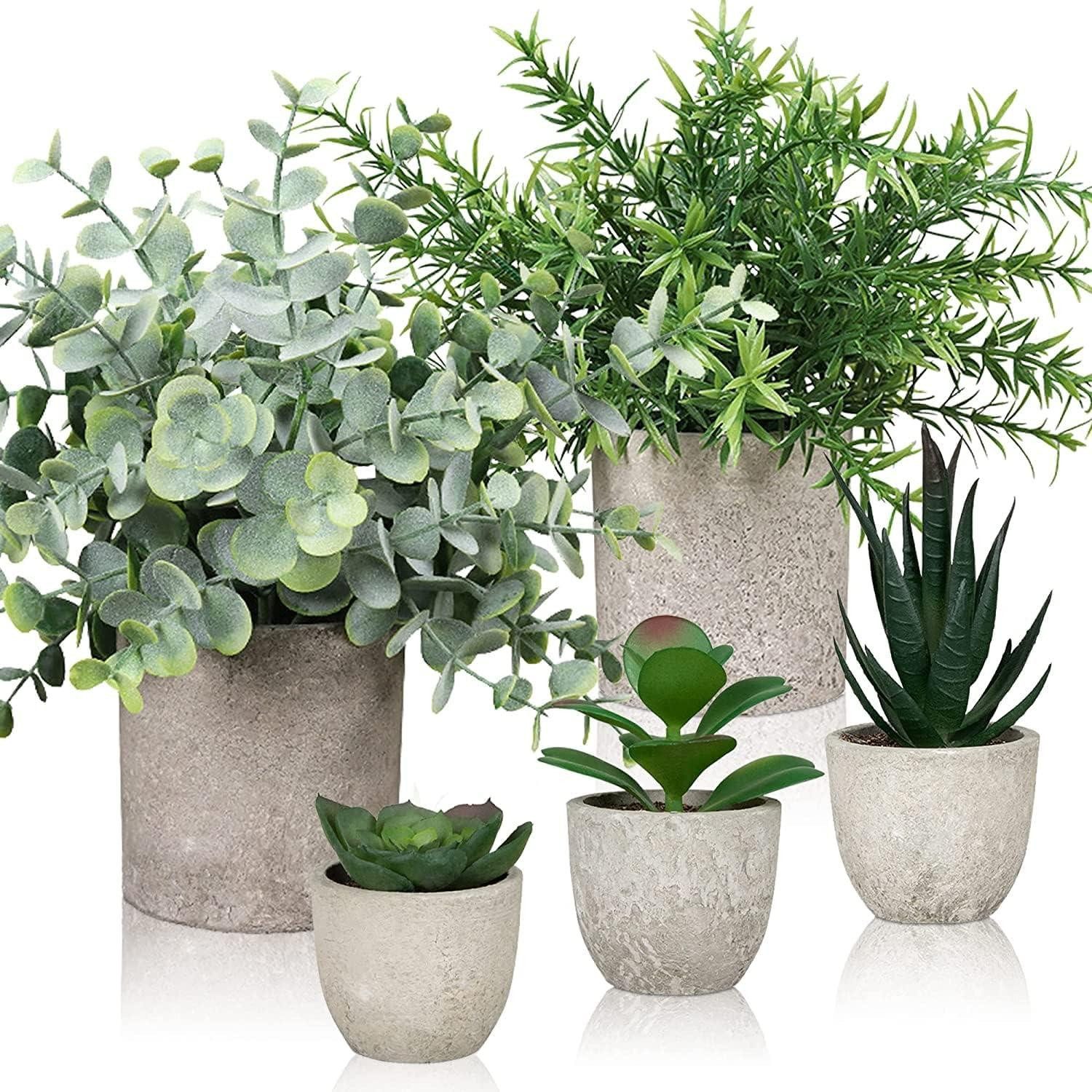 LuxusKollektion Dekohänger Kunstpflanze Set 5 Stk. günstig online kaufen